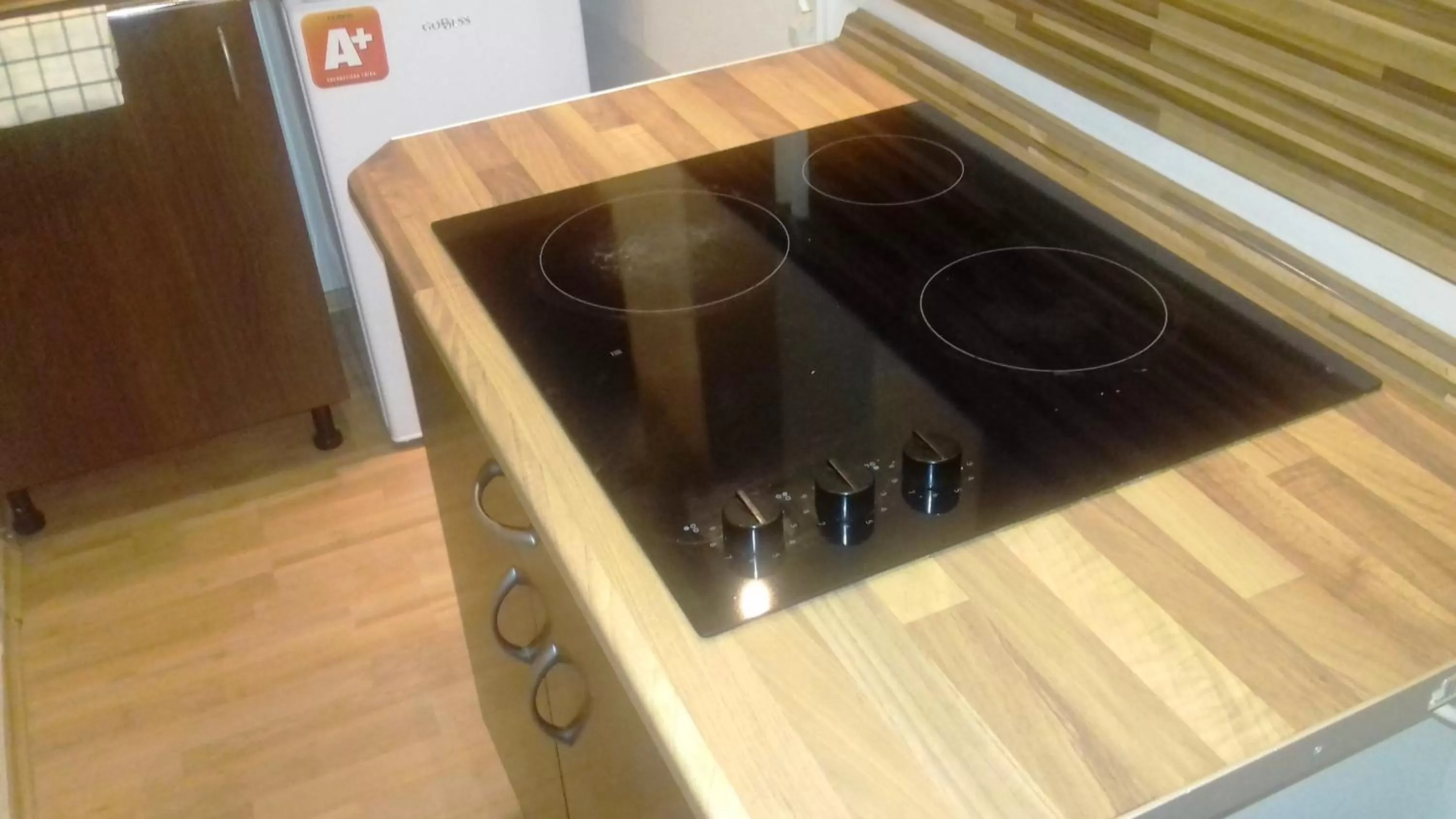 Coffee/tea facilities, Kitchen/Kitchenette in Spa & Pool Apartment Hotel - Restaurant VILLA IVICA