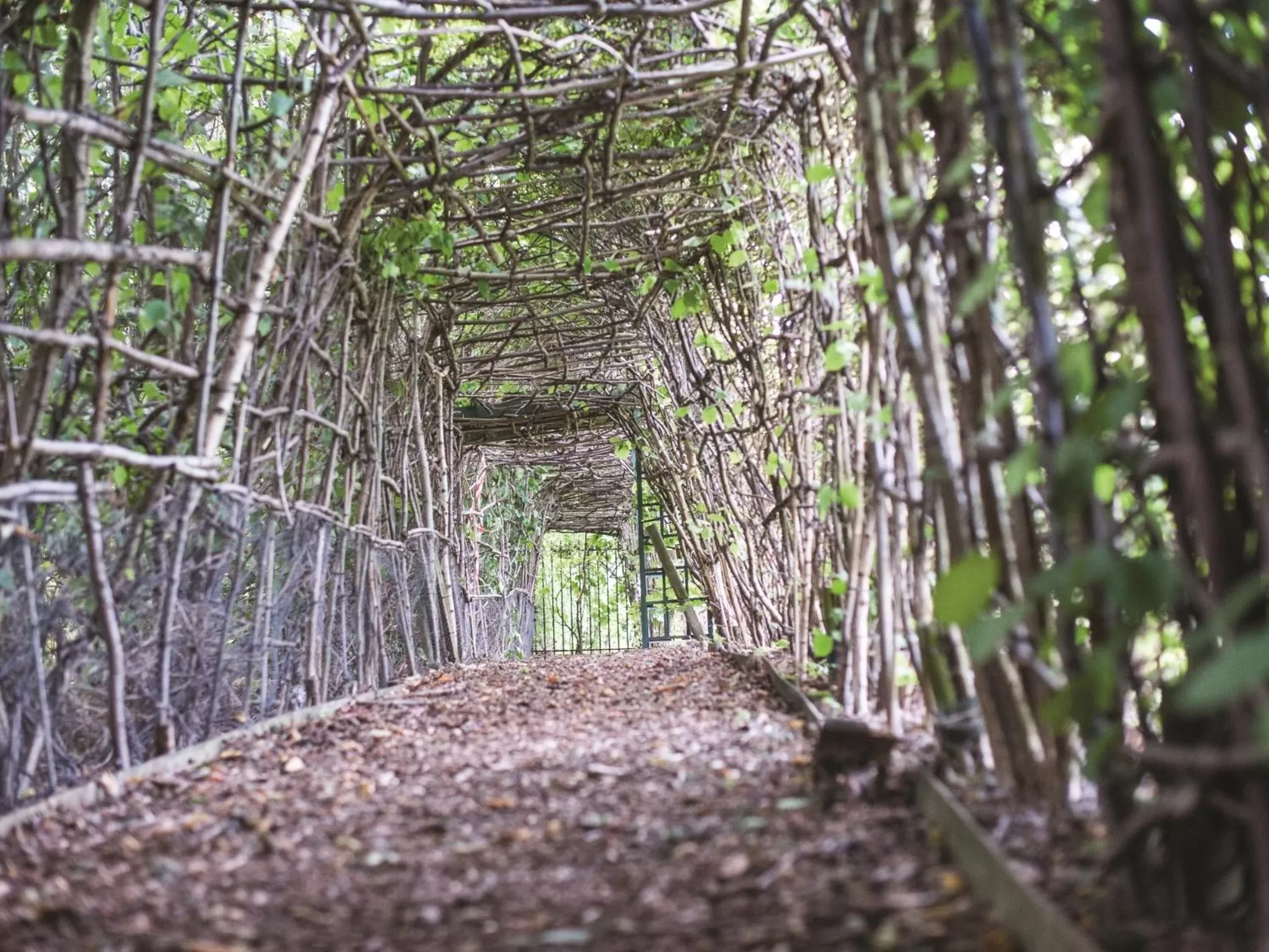 Area and facilities in Thorpe Park Hotel and Spa