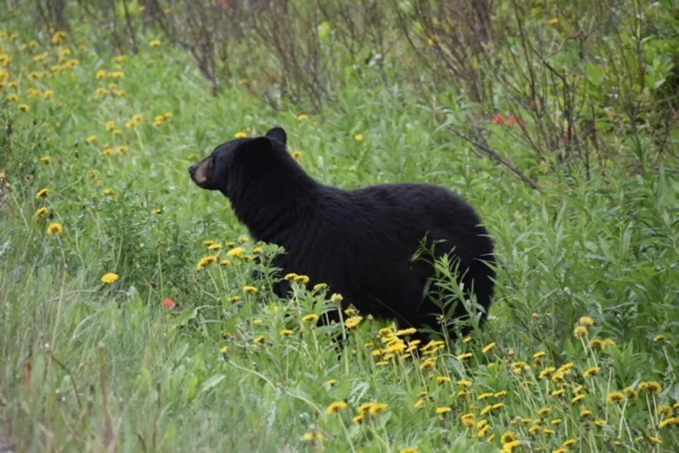 A Suite Retreat - Beyond Bed & Breakfast
