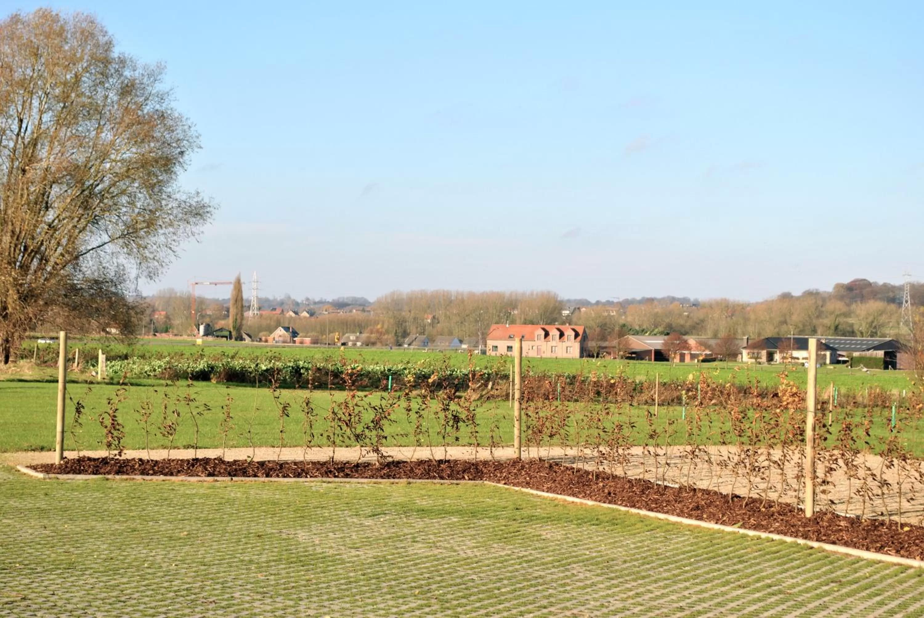 Garden in B&B Louis1924