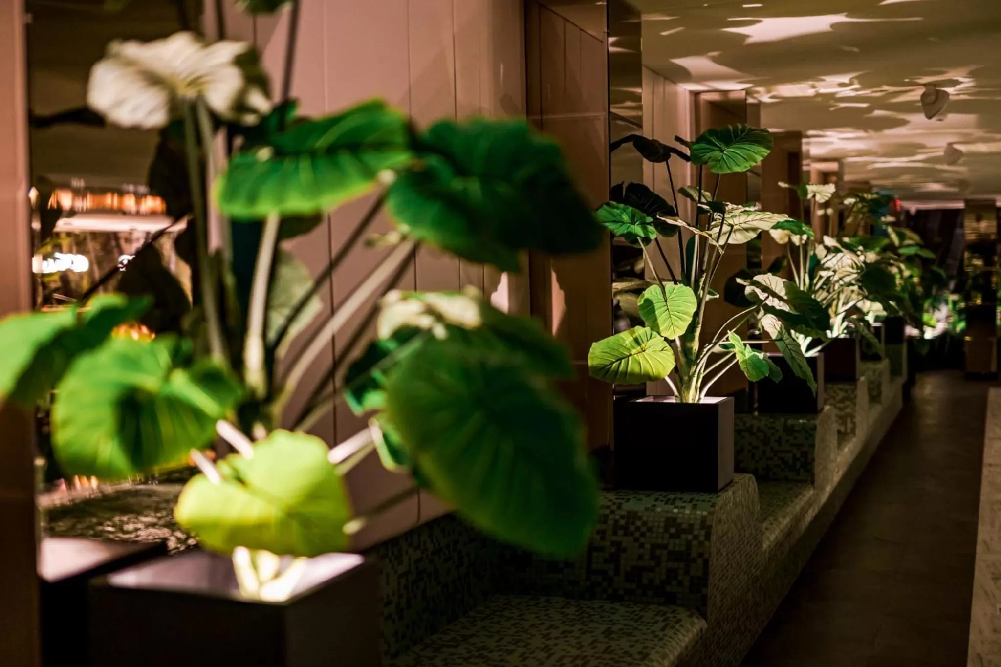 Spa and wellness centre/facilities in Hermanns Hotel & Spa Sibiu