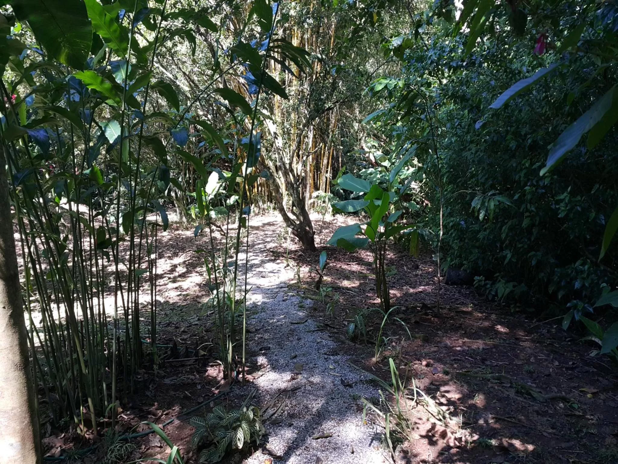 Hiking in La Purruja Lodge
