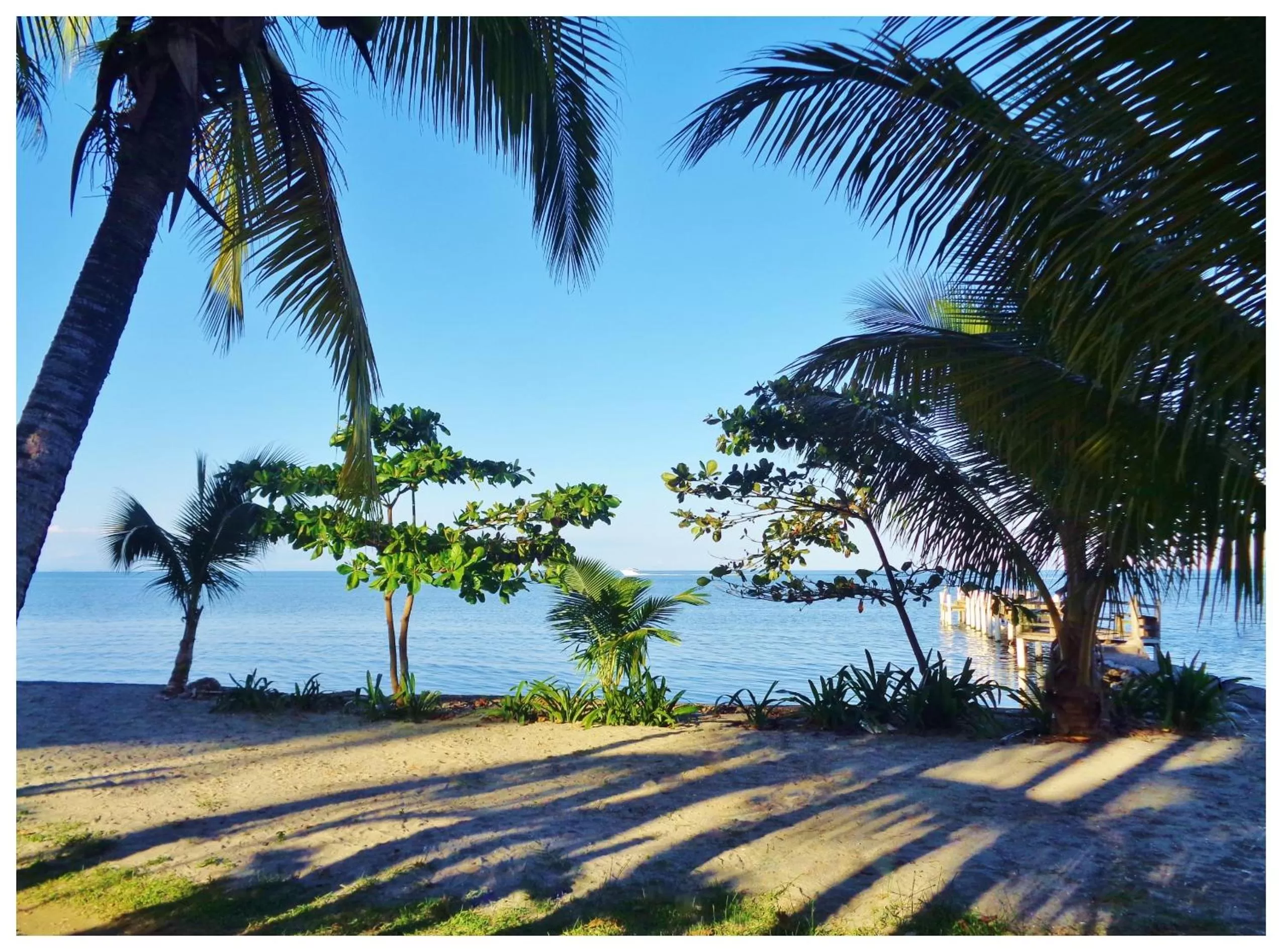 Natural landscape, Beach in Livingston Resort Hotel
