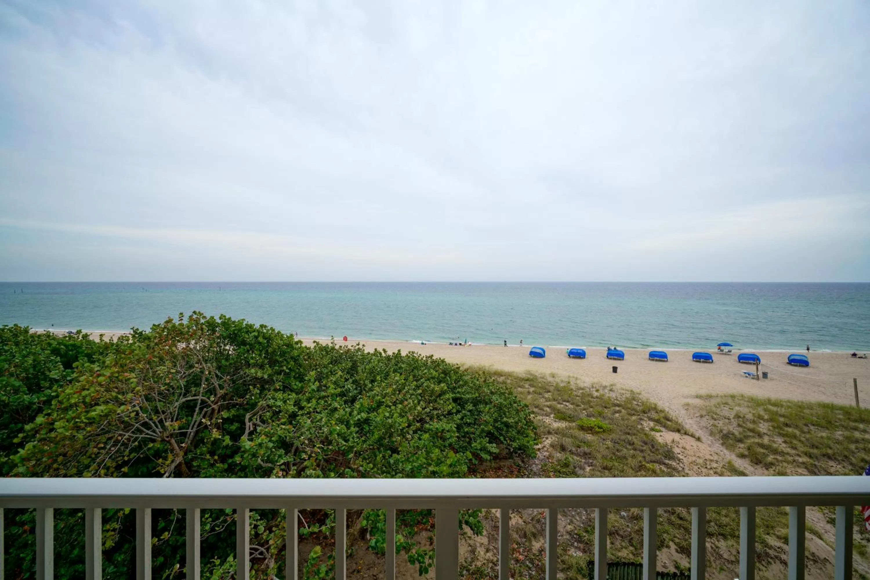 Beach in La Costa Beach Club