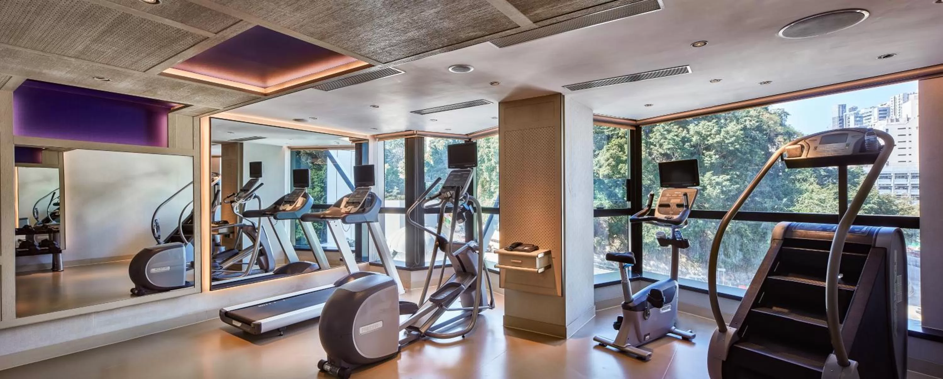 Fitness centre/facilities in The Emperor Hotel