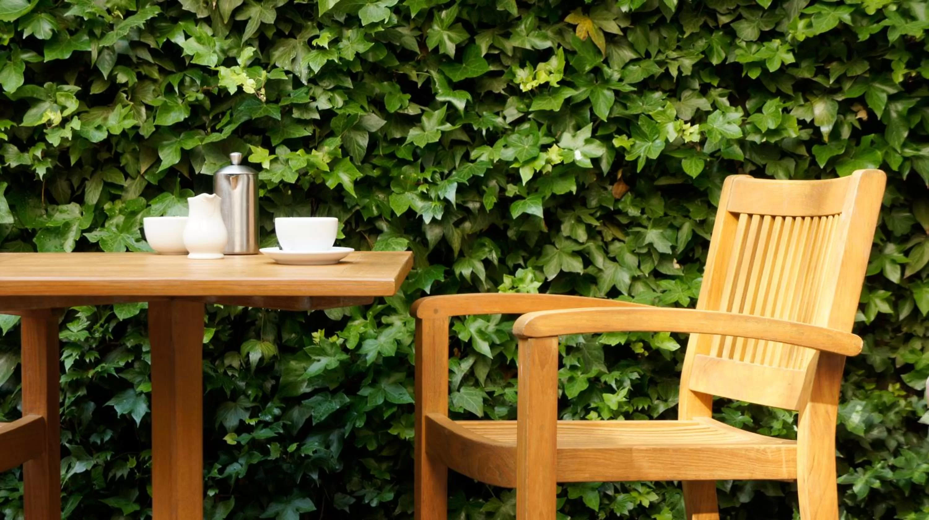 Restaurant/places to eat in The Angel Hotel