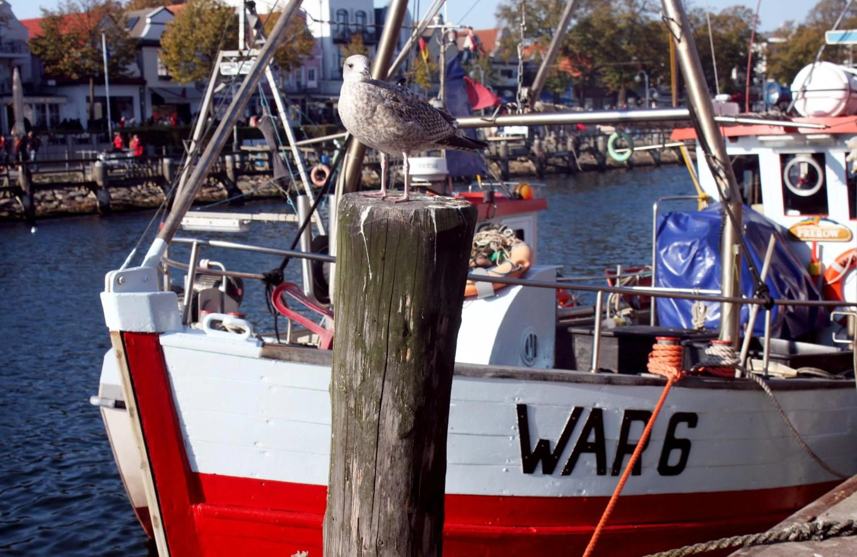 Day in Hotel Ostseeland