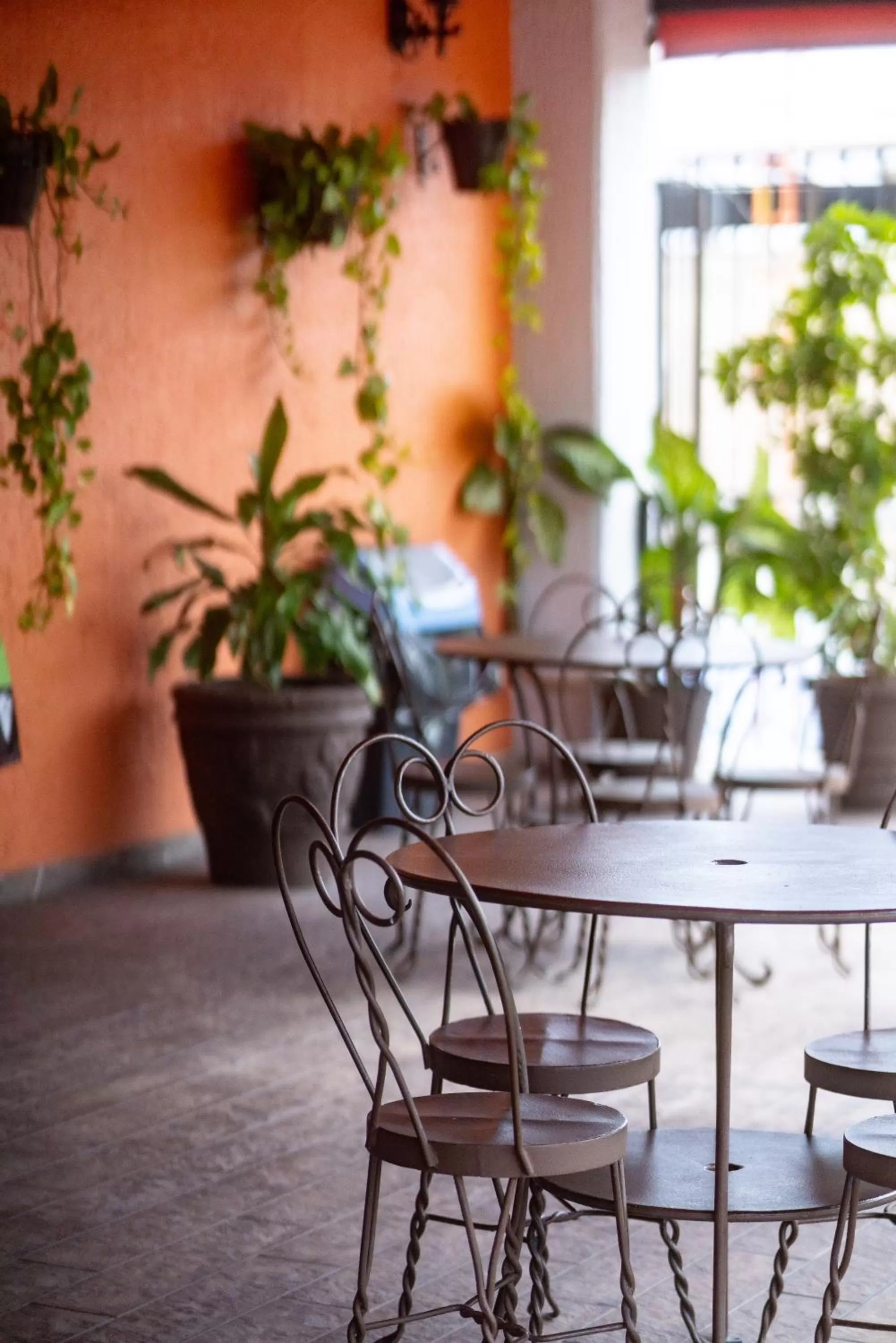 Swimming pool in Hotel Santiago De Compostela - Guadalajara Centro Historico
