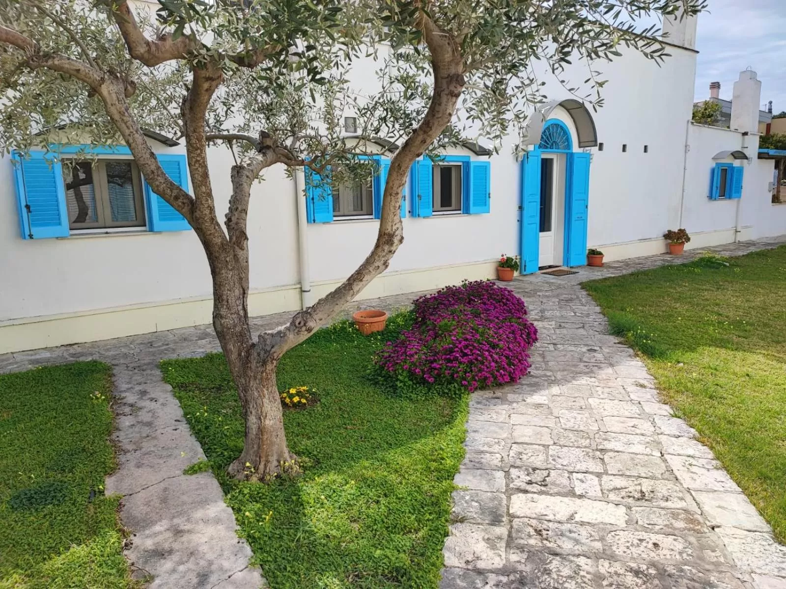 Property Building in Tronchetto bianco