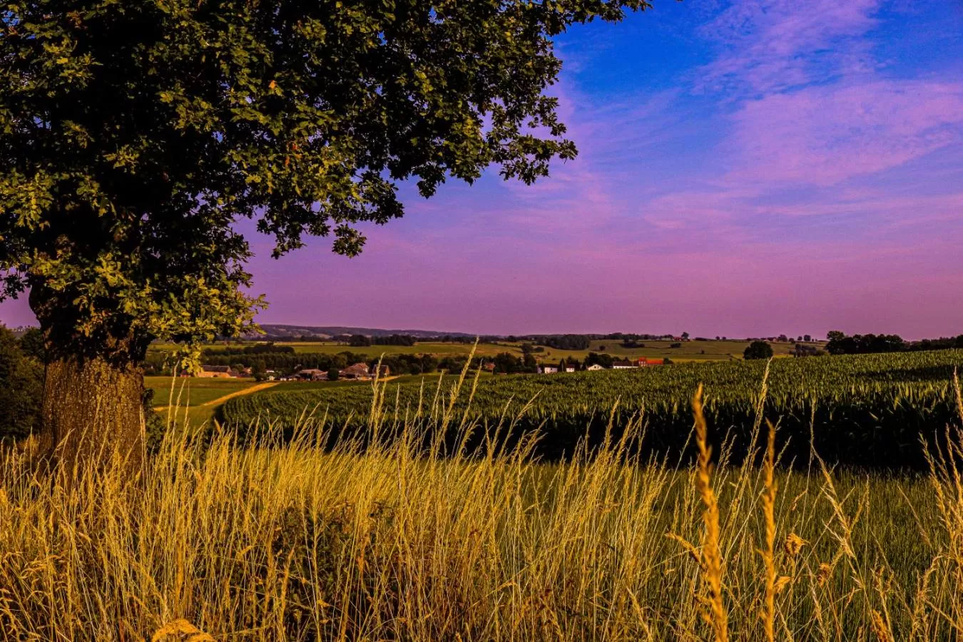Natural Landscape in Hotel Restaurant The Kings Head Inn