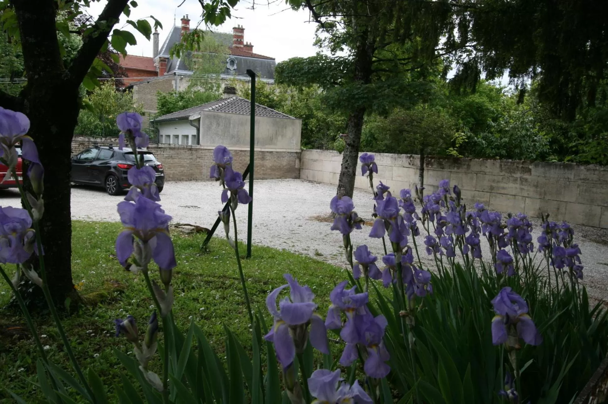 Garden in Hôtel Le Picardy