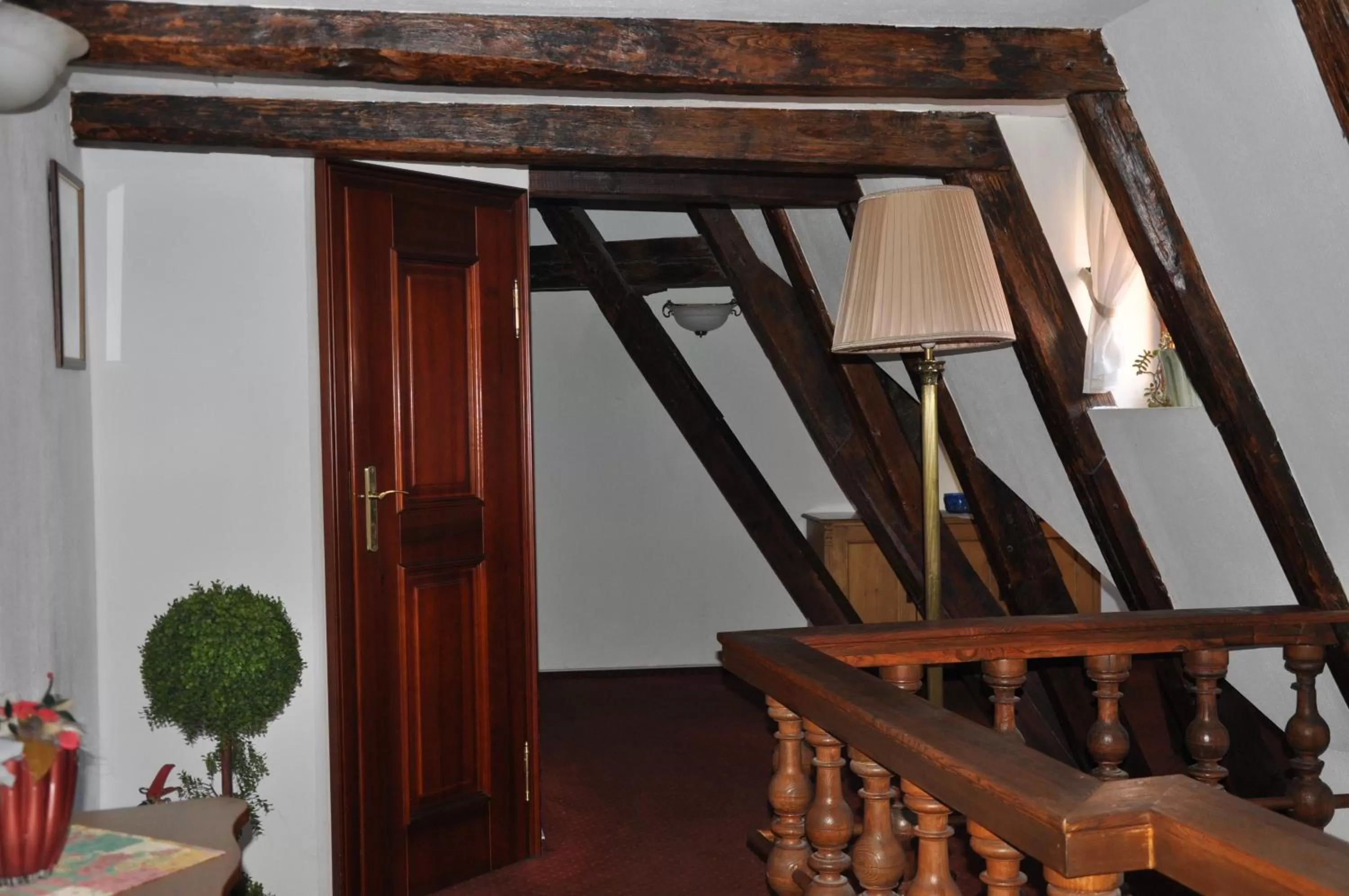 Other in Hotel Cerny Slon