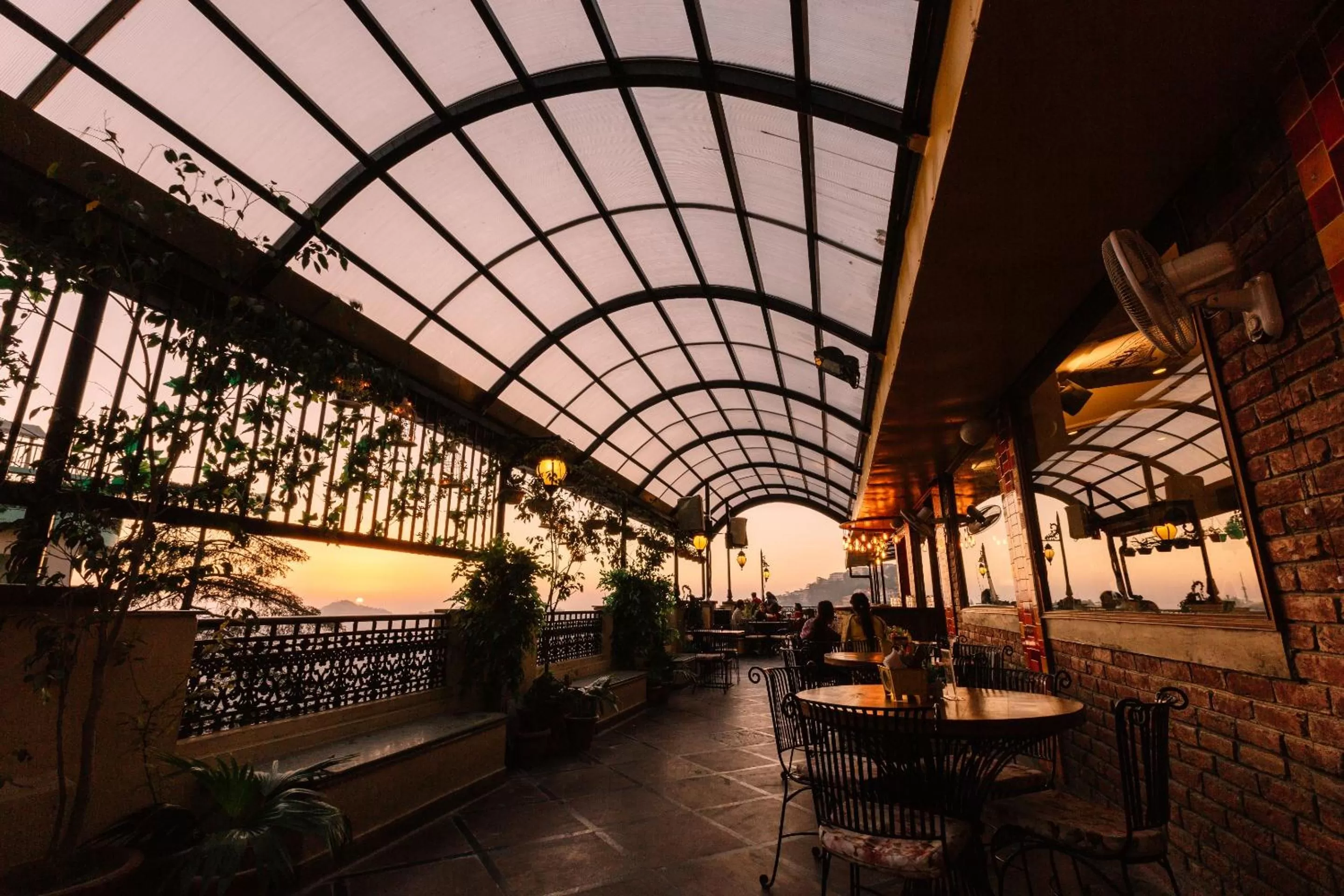 Restaurant/places to eat in Hotel Willow Banks Shimla