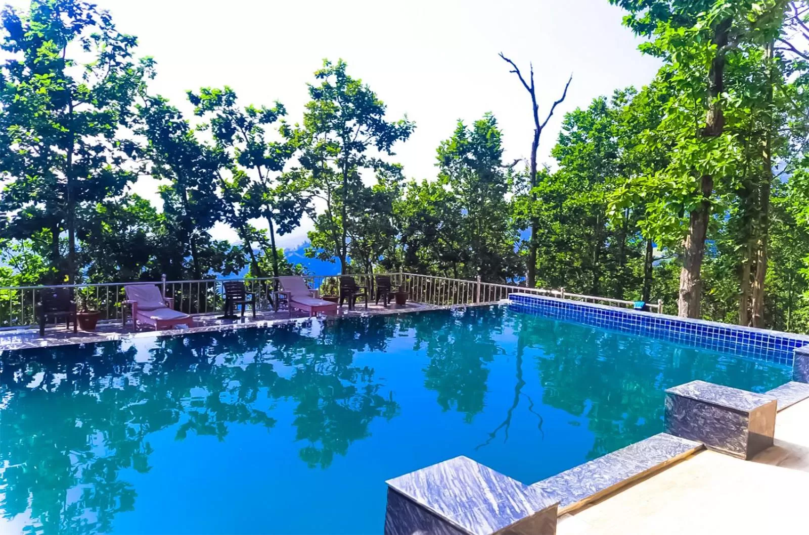 Swimming pool in Blue Pine Orchards