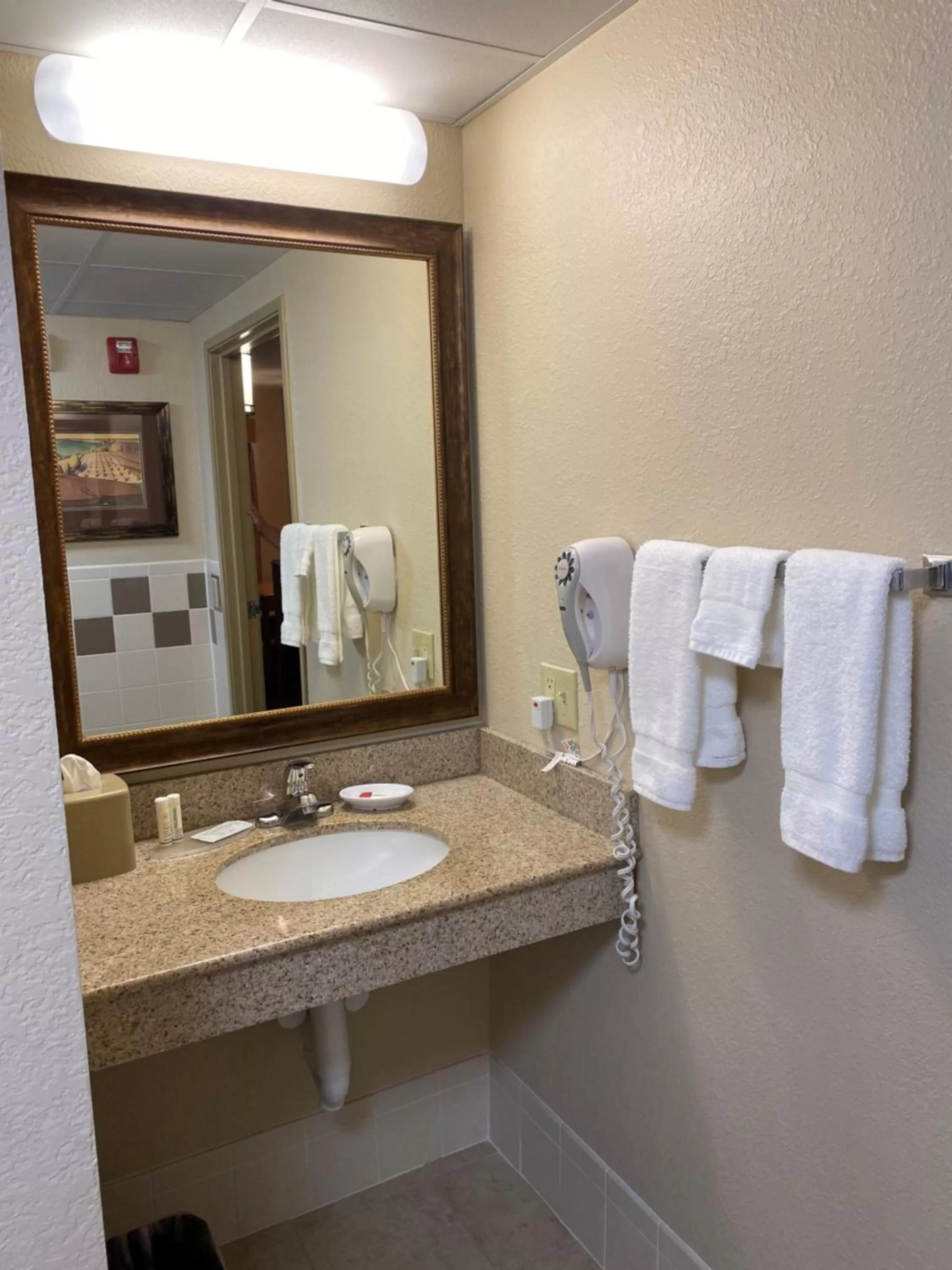 Bathroom in AmericInn by Wyndham Anamosa