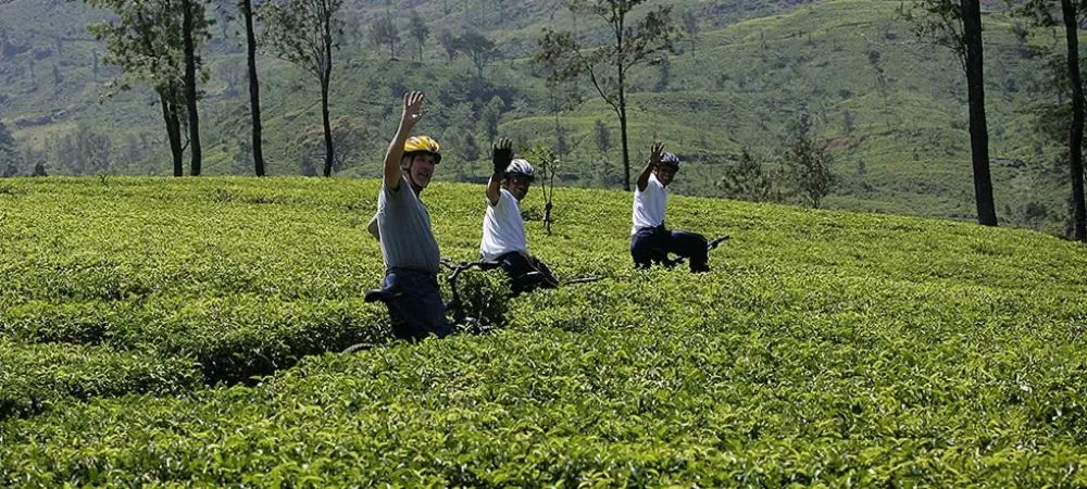 Guests in Rock View Rest Hatton