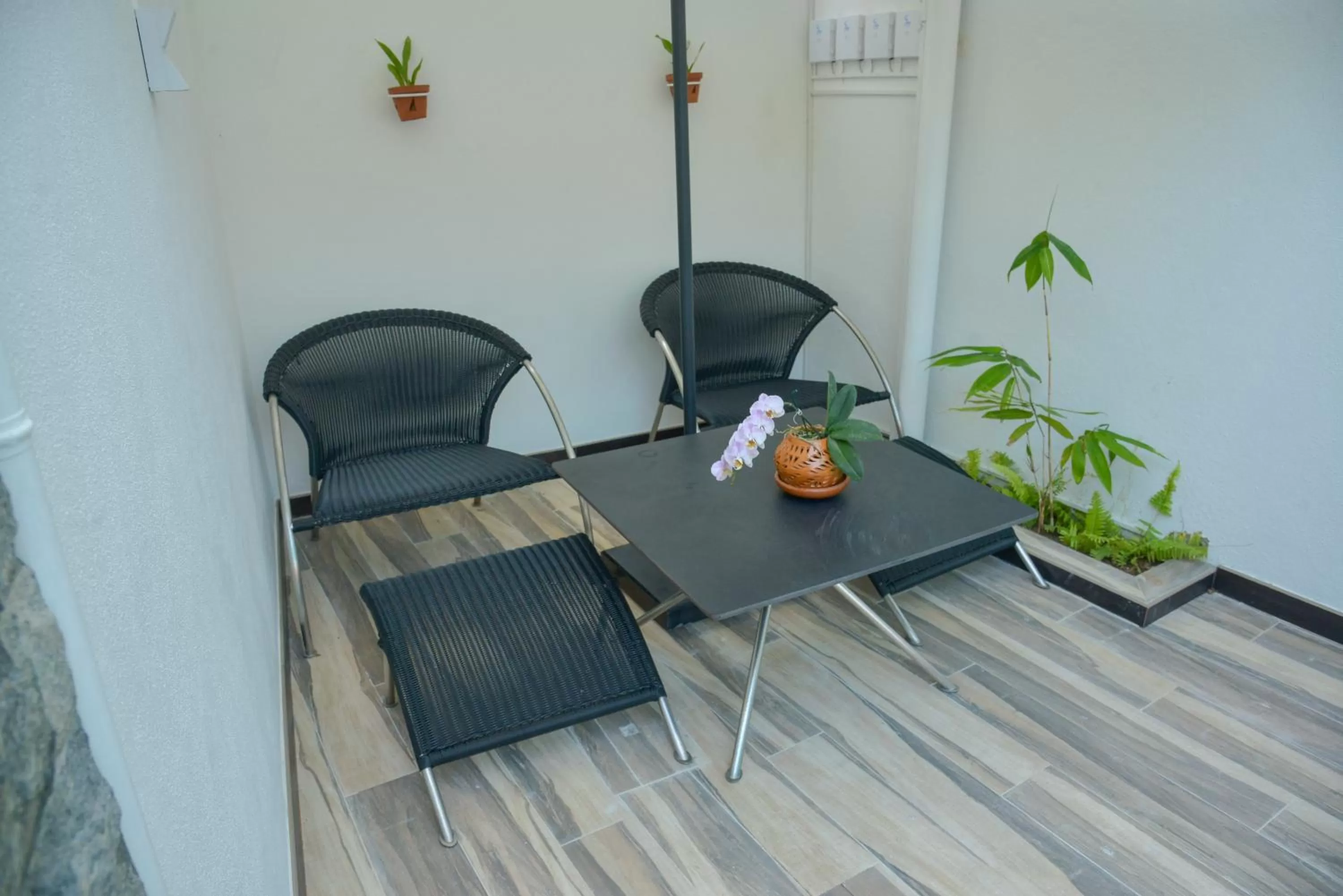 Restaurant/places to eat, Seating Area in Negombo New Queen's Palace