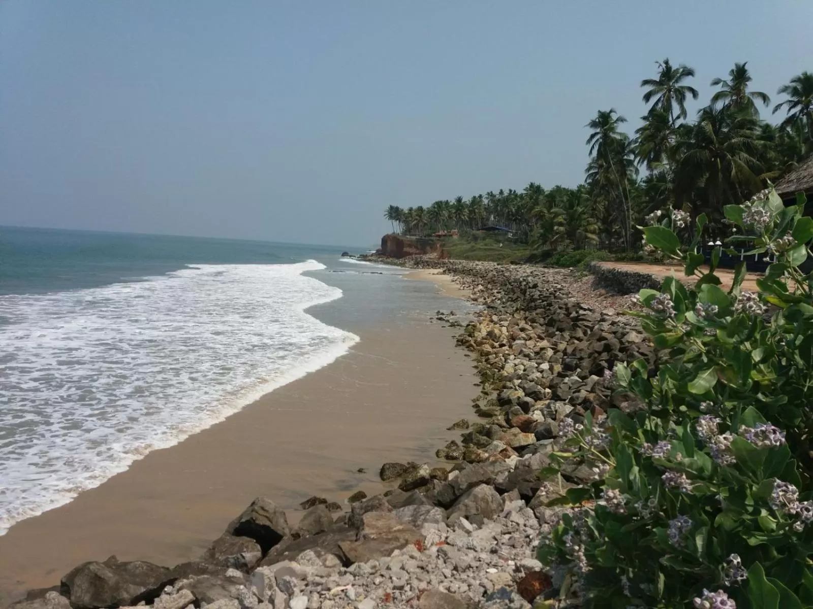 Natural landscape, Beach in Sukriti beach Resort