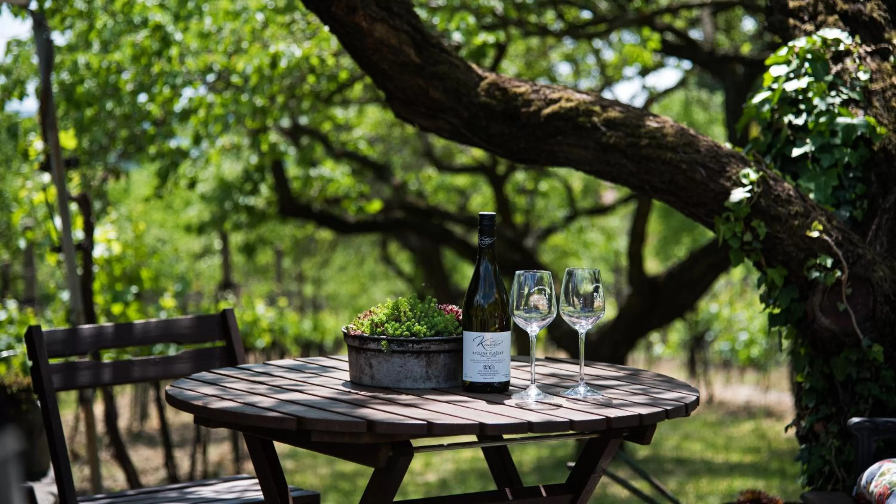 Patio, Drinks in Boutique Hotel Golf Garni