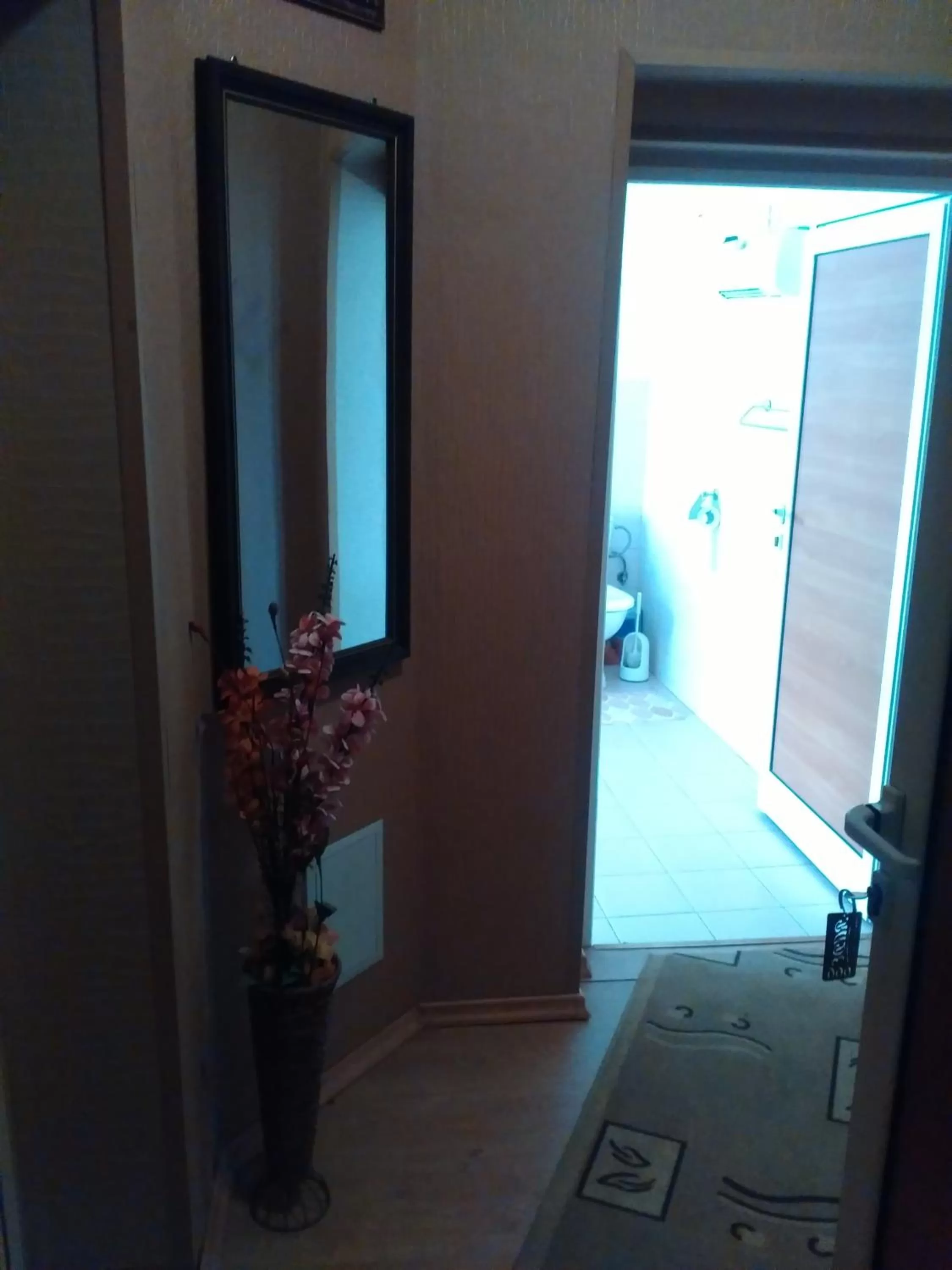 Photo of the whole room in Hotel Rade 1