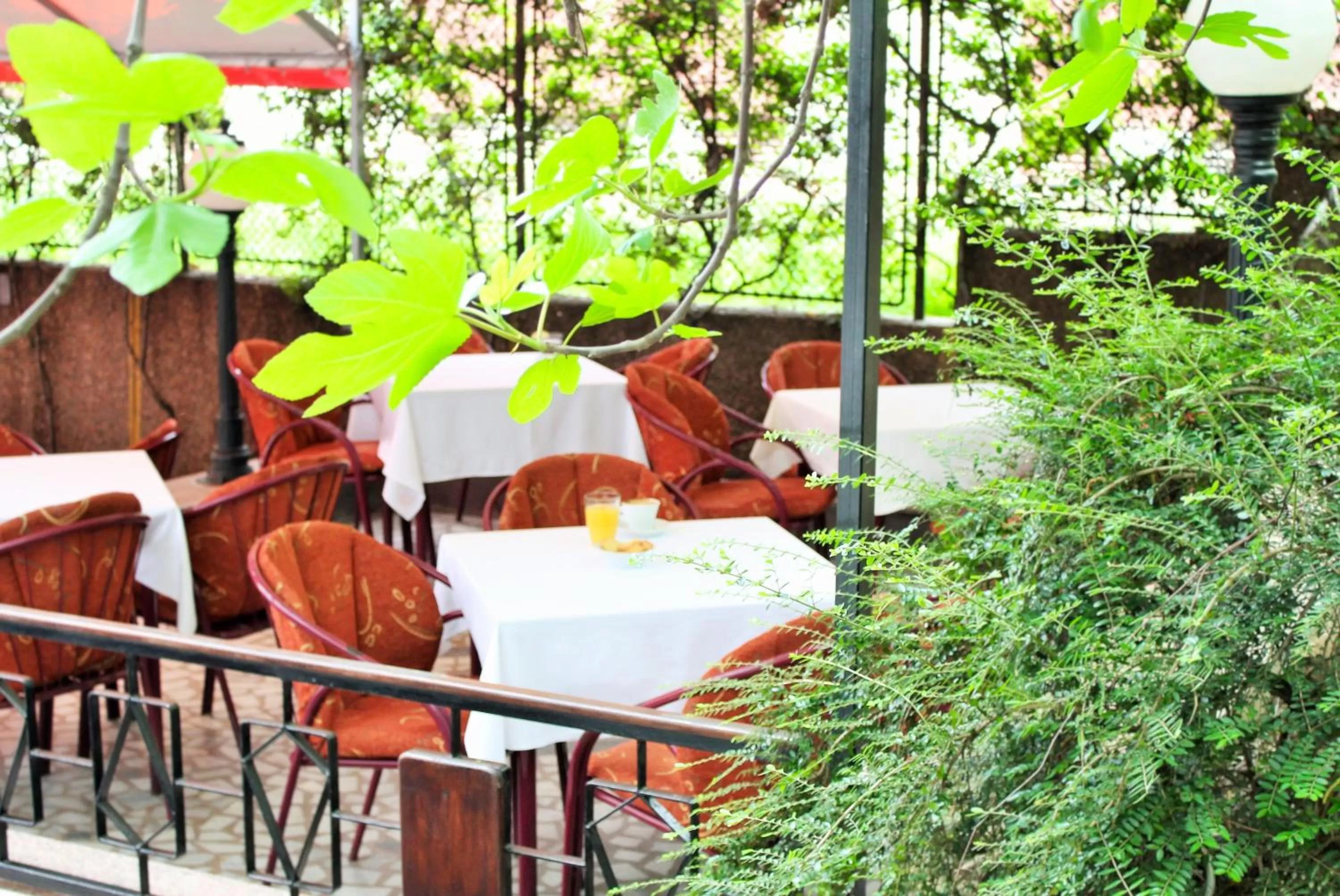 Natural landscape in Hotel Rex