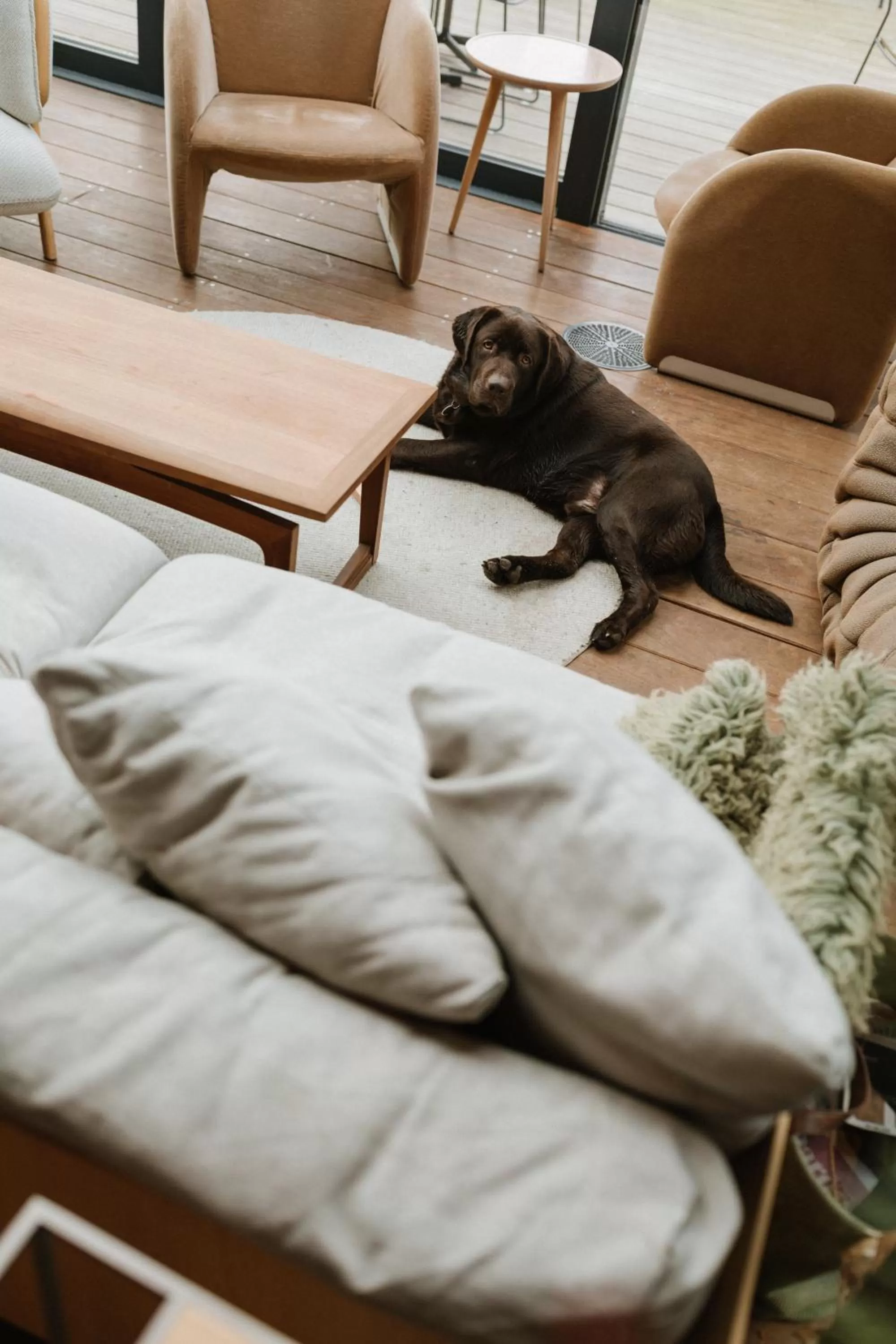 Lounge or bar in Basecamp Amsterdam