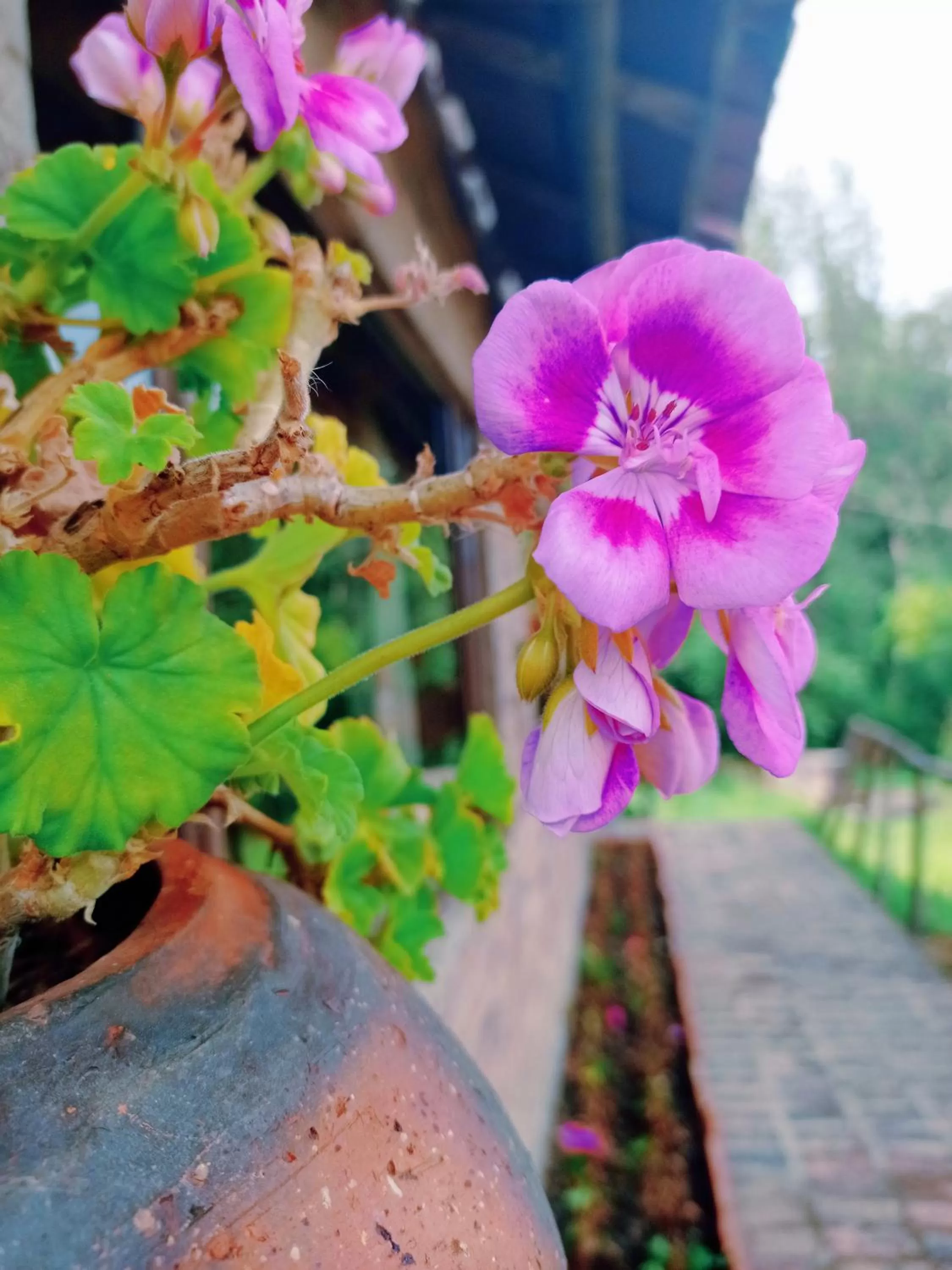 Hotel Refugio Pozo Azul