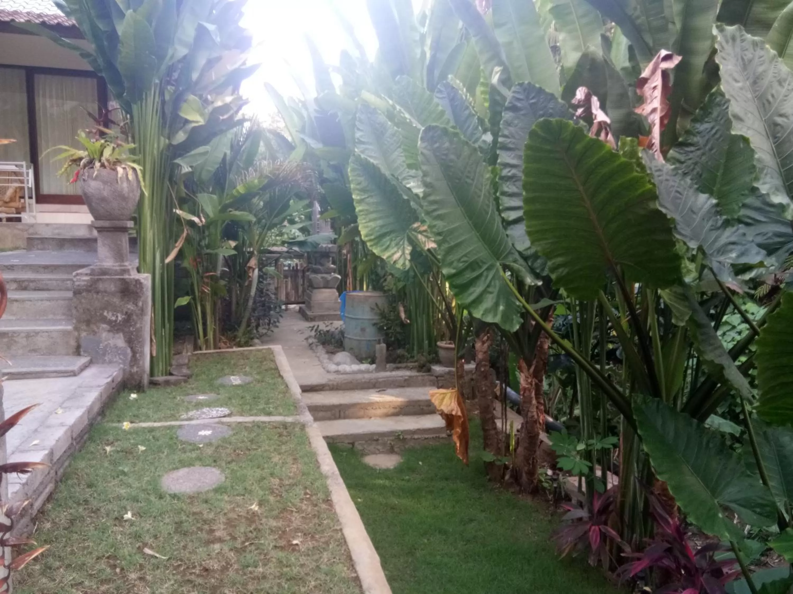 Garden in Kerta Family Bed and Breakfast