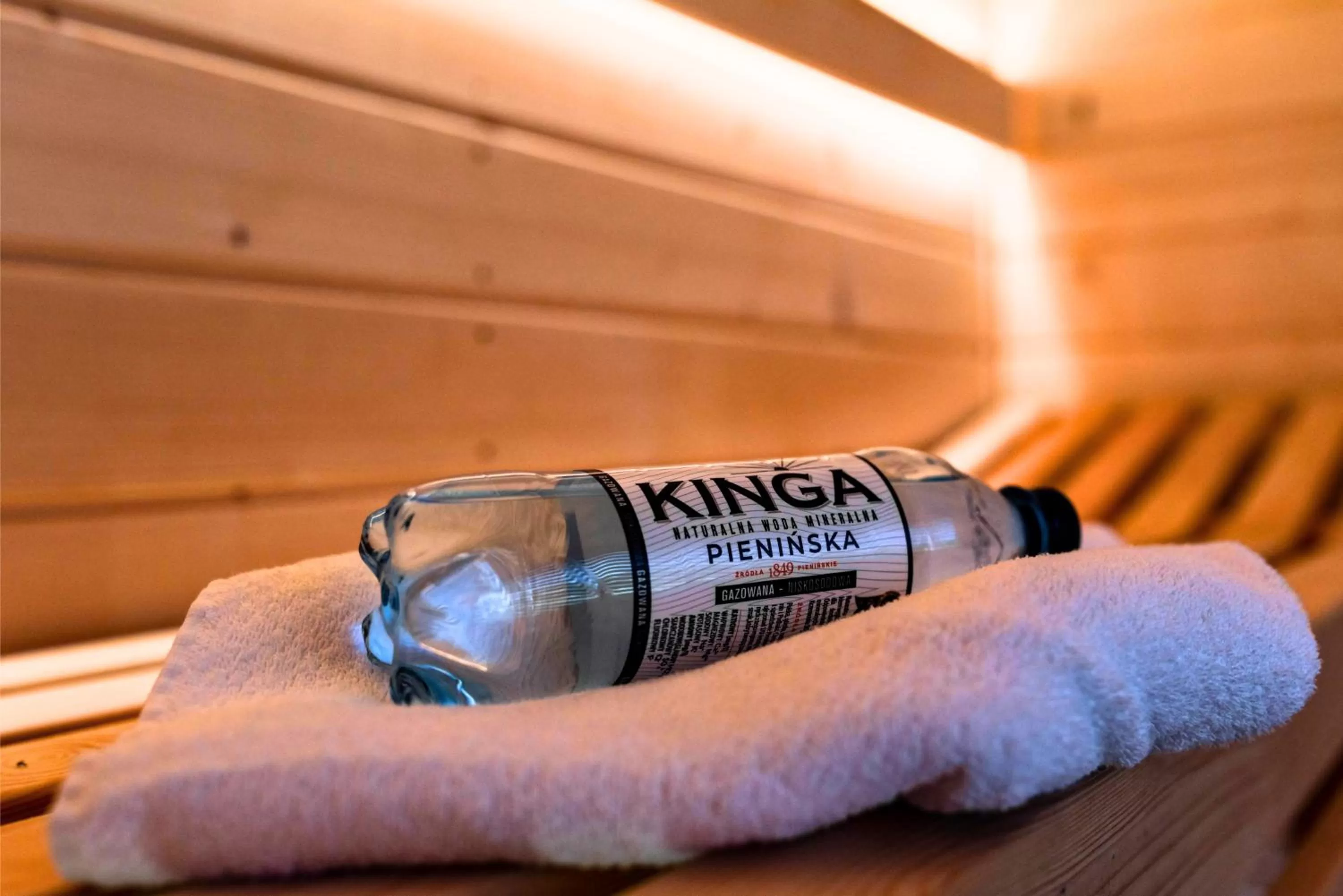 Spa and wellness centre/facilities in Willa ŻeglarSki