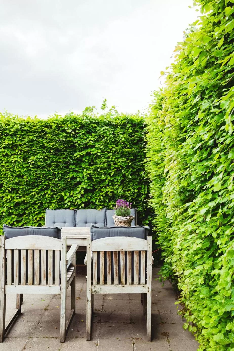 Balcony/Terrace in Bed and Breakfast Bedstay op 8