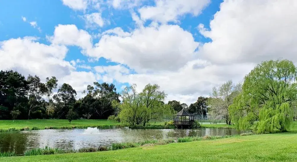 King Room in Briars Country Lodge King Room in Briars Country Lodge