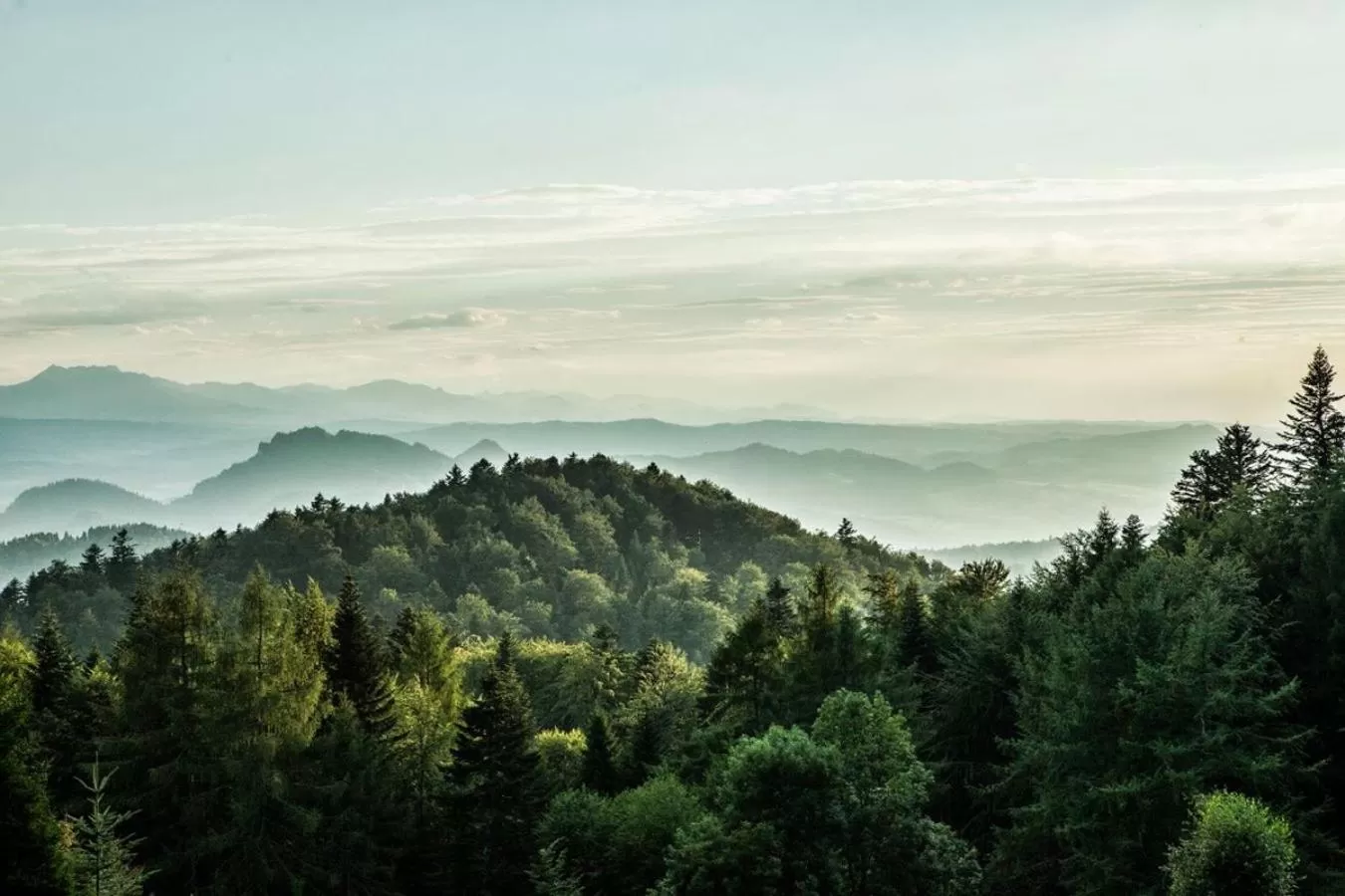 On site in Willa Pokusa