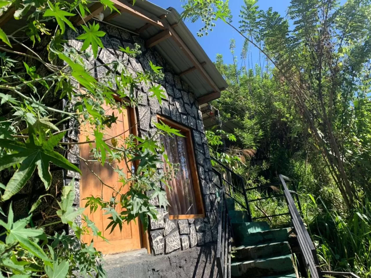 Ella Lucky Panoramic