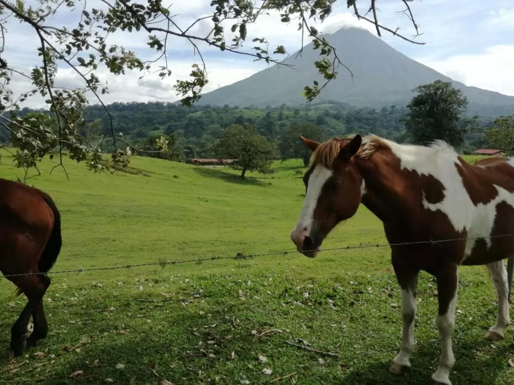 Nearby landmark in Casona Rústica & Bungalow