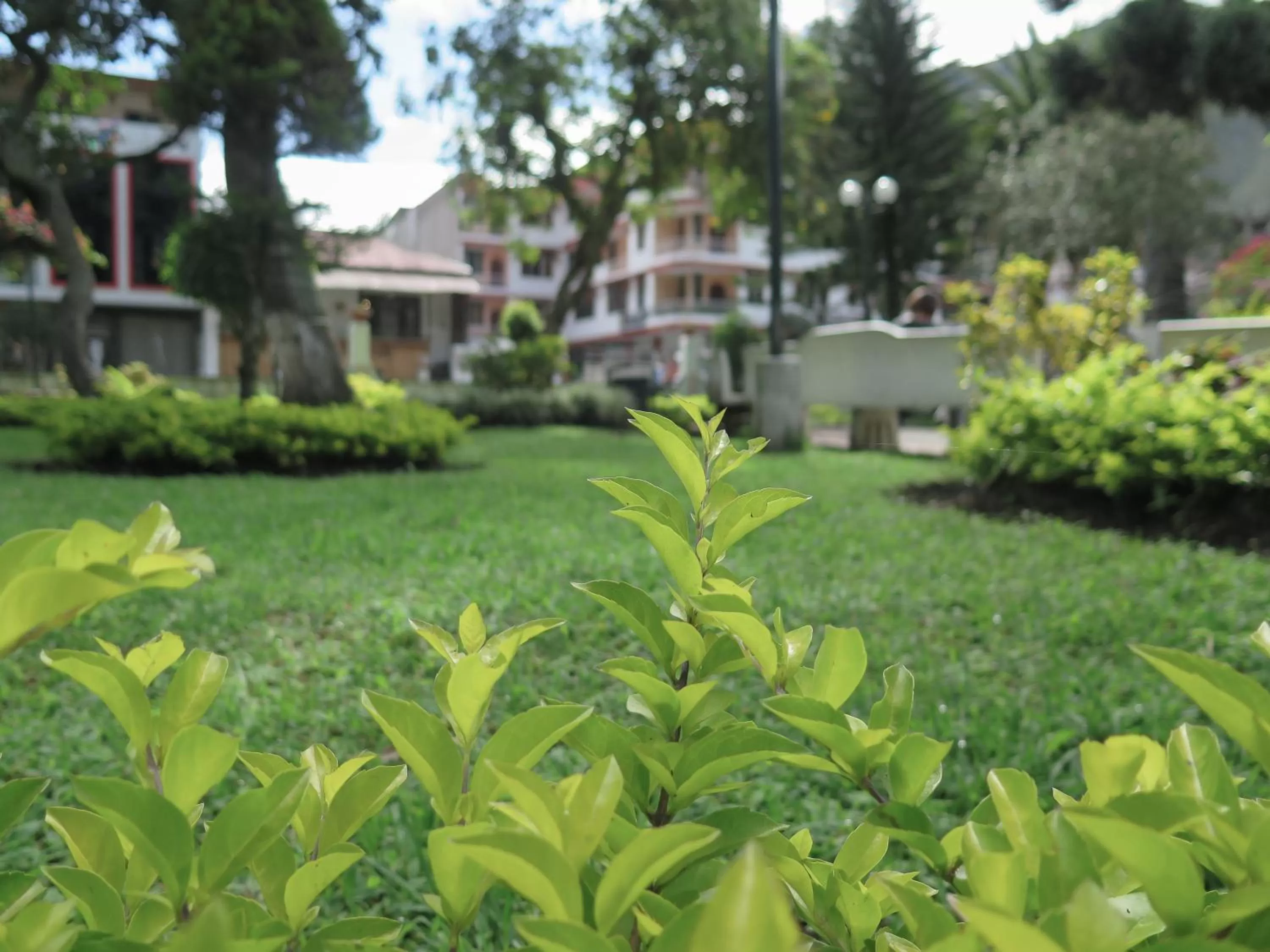 Property building, Garden in Hotel Flor de Oriente
