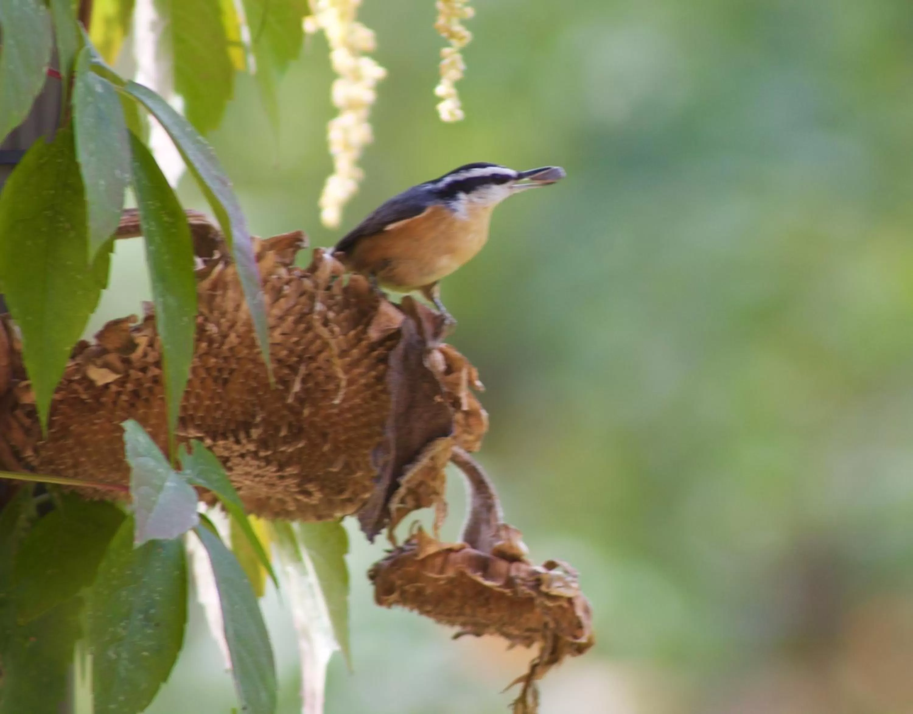 Other in Windborne Bed & Breakfast