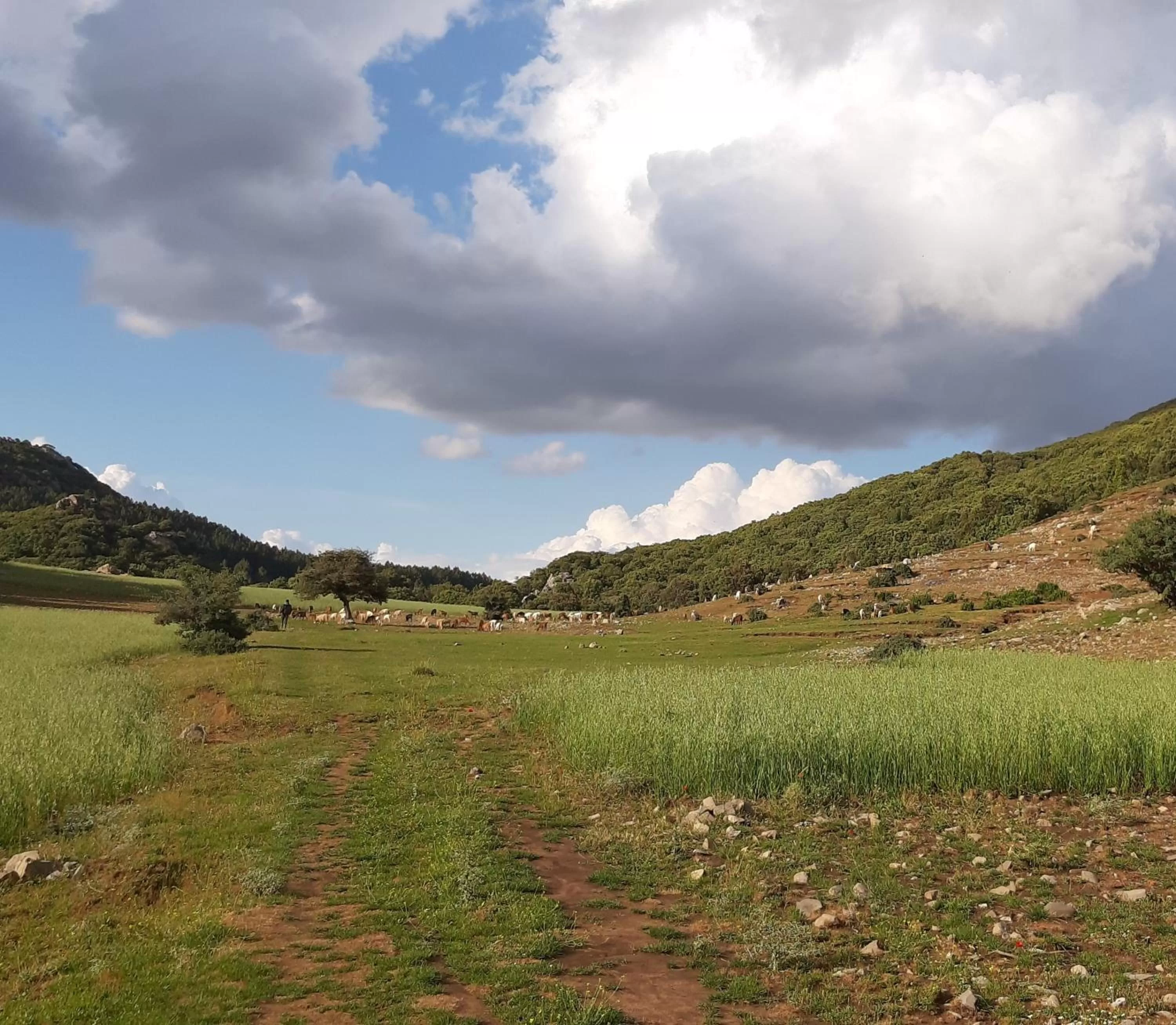 Natural Landscape in TAZEKKA PARC HOTEL