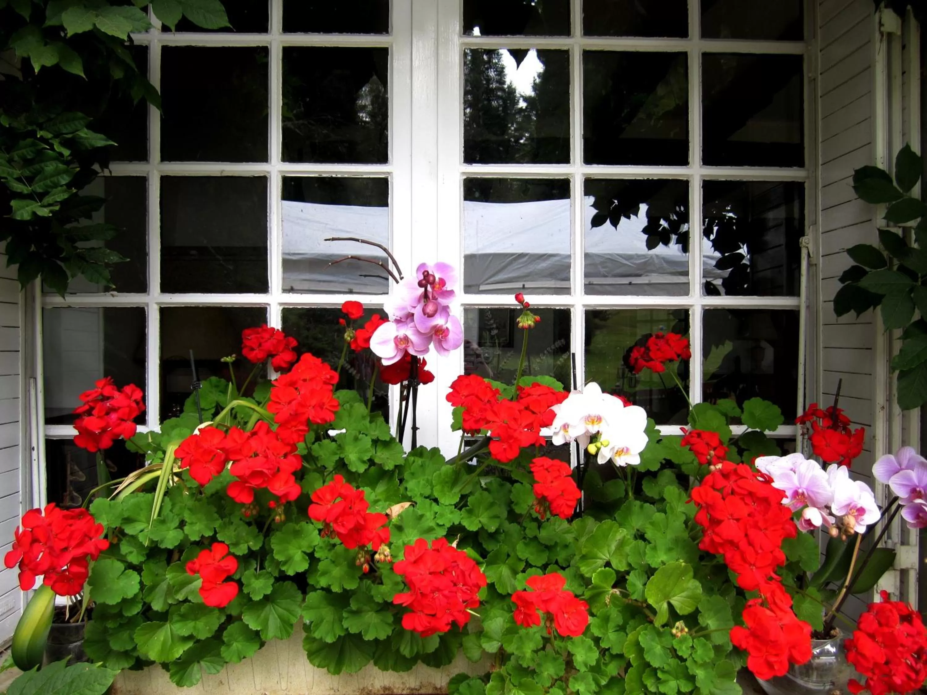 Facade/entrance in La Croix du Reh