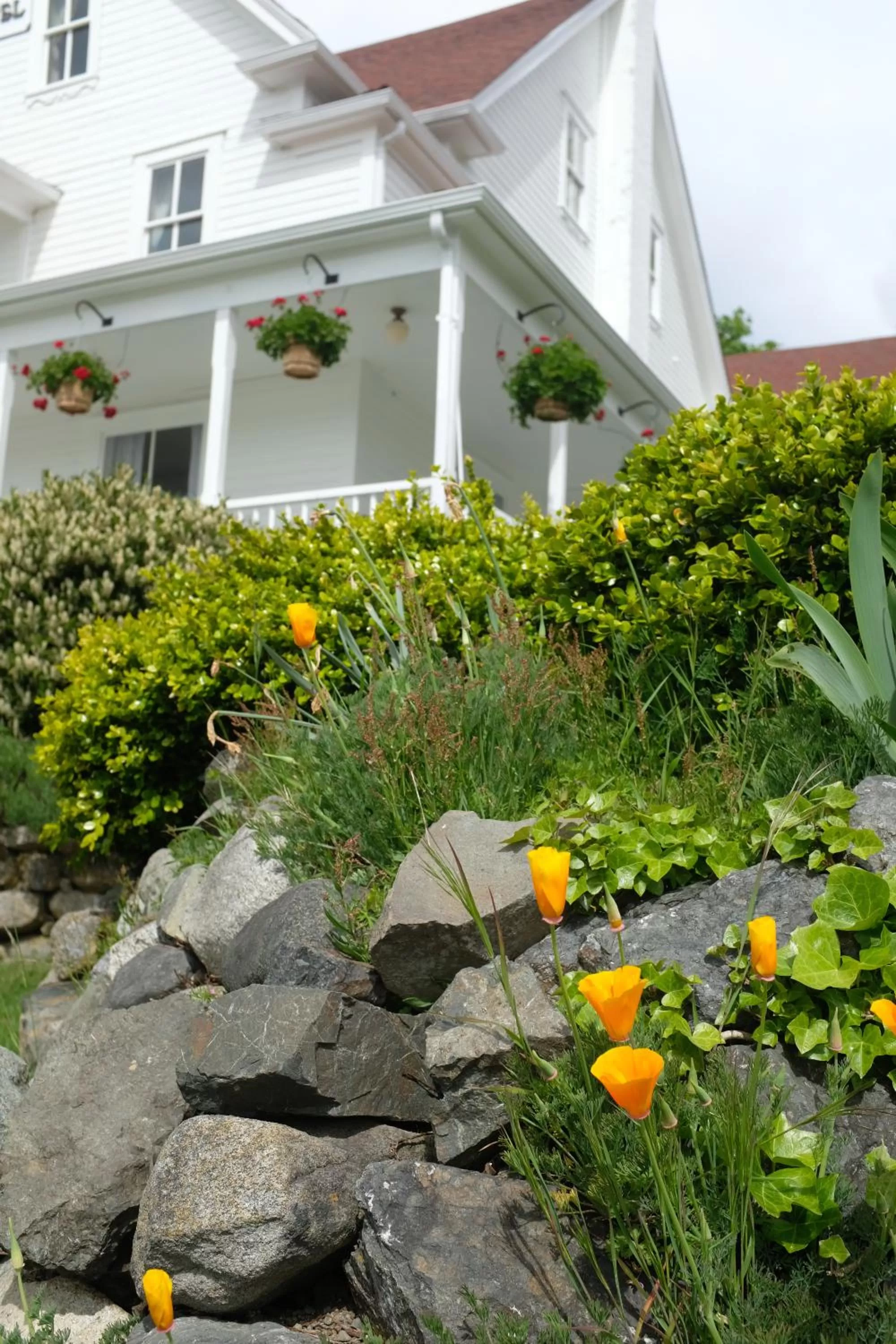 Property building in Orcas Hotel