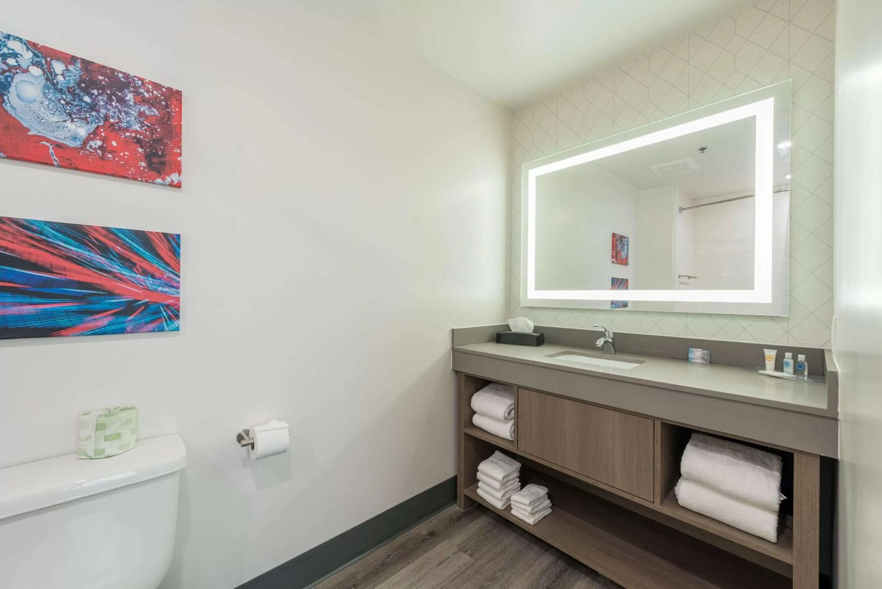 Bathroom in Comfort Suites Colorado Springs East - Medical Center Area