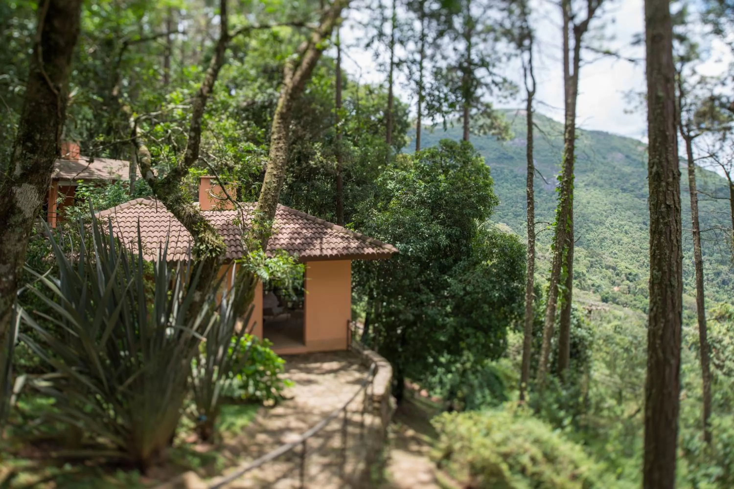 Mountain view, Garden in Kuriuwa Hotel