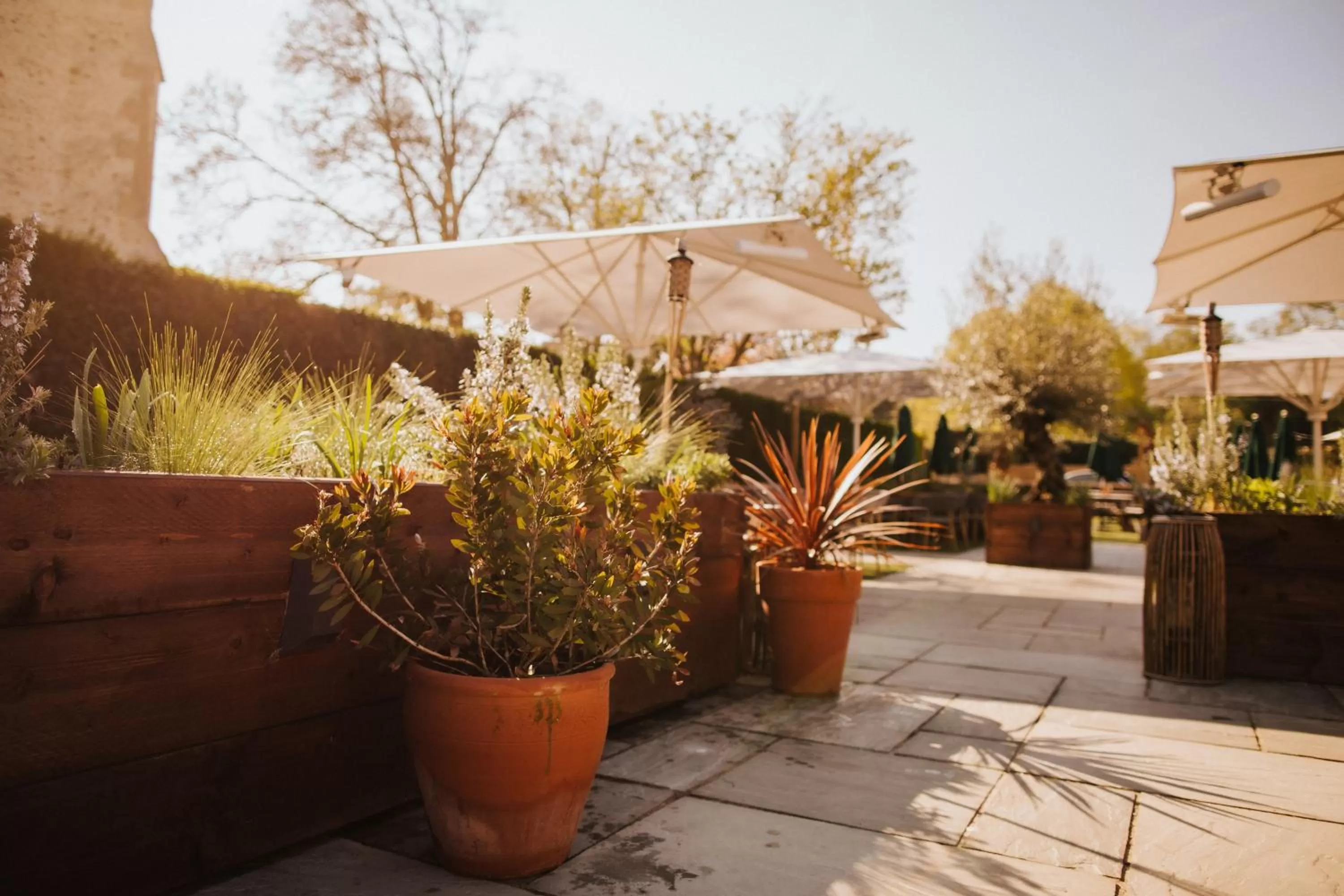 Restaurant/places to eat in The Fox at Willian