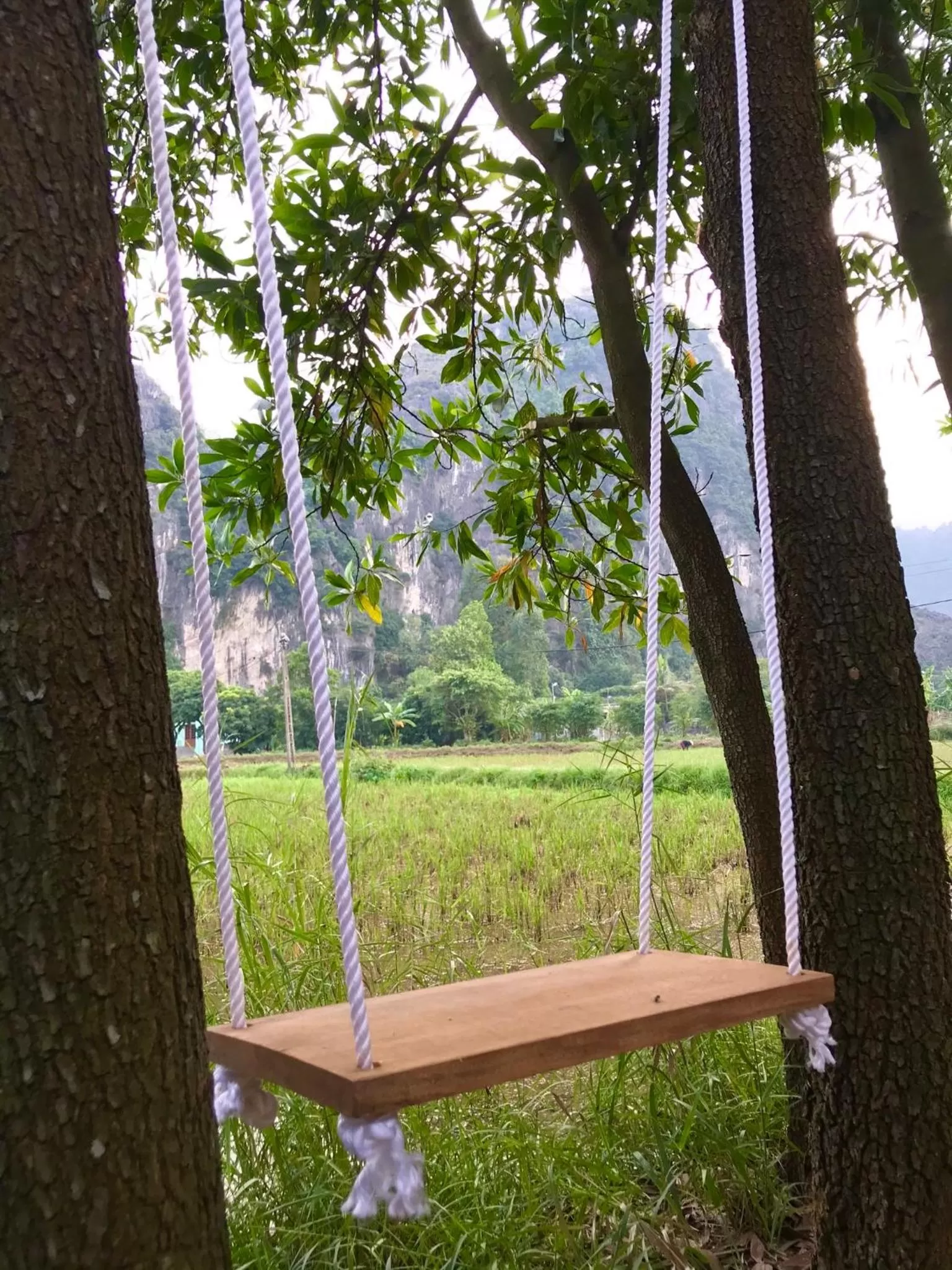 Garden view in Trang An Lamia Bungalow