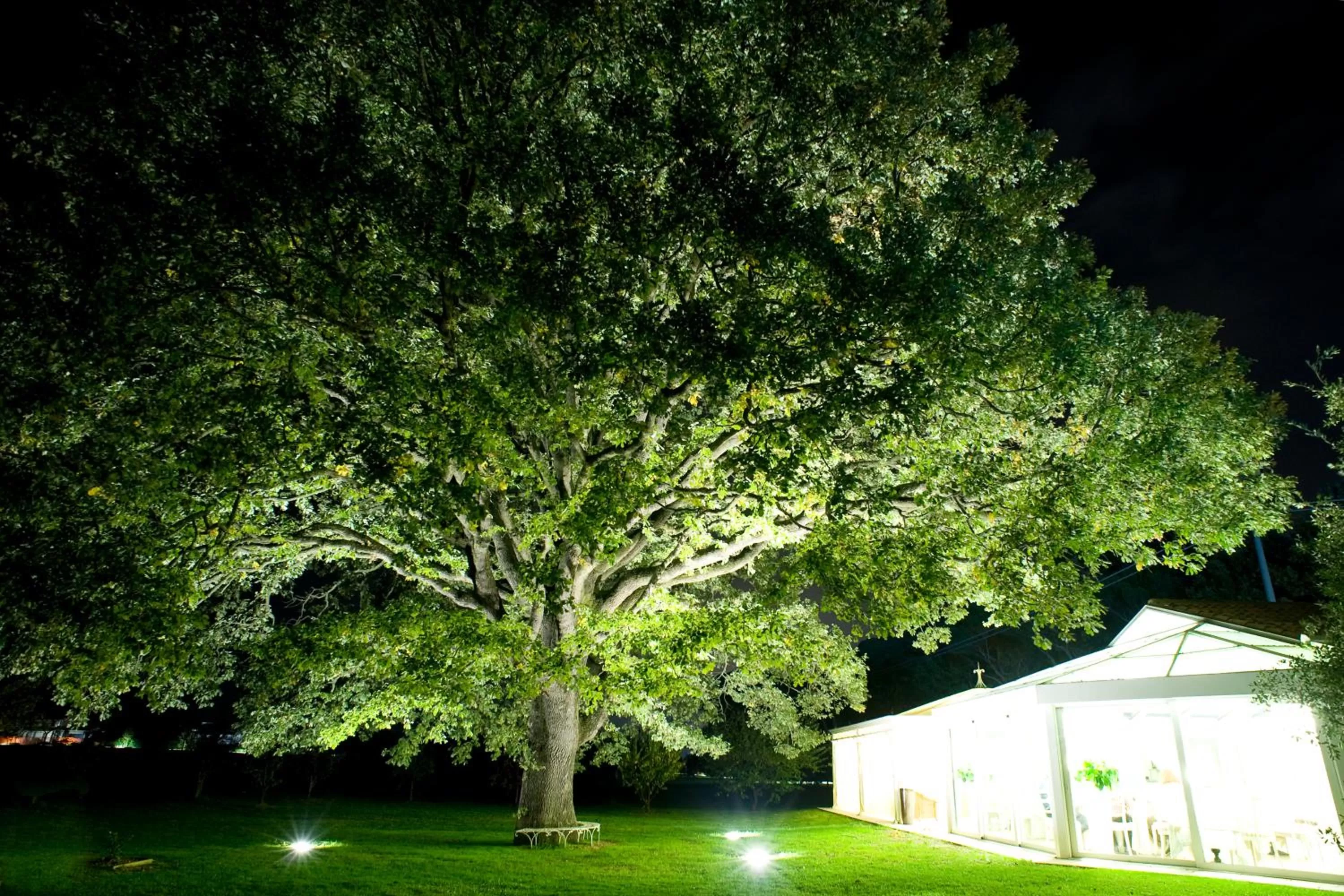 Restaurant/places to eat in Villa Abbondanzi Resort