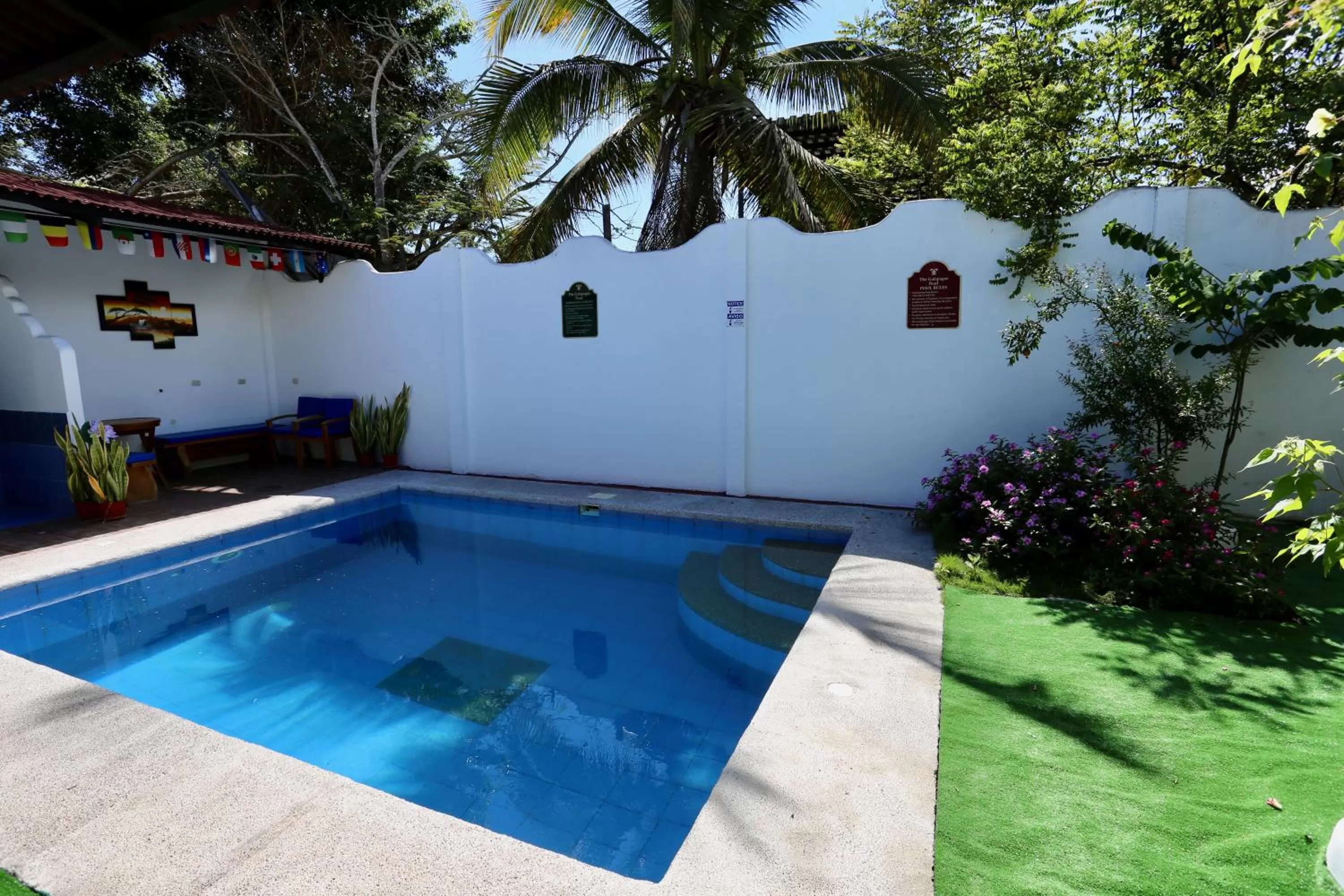 Swimming Pool in The Galapagos Pearl B&B