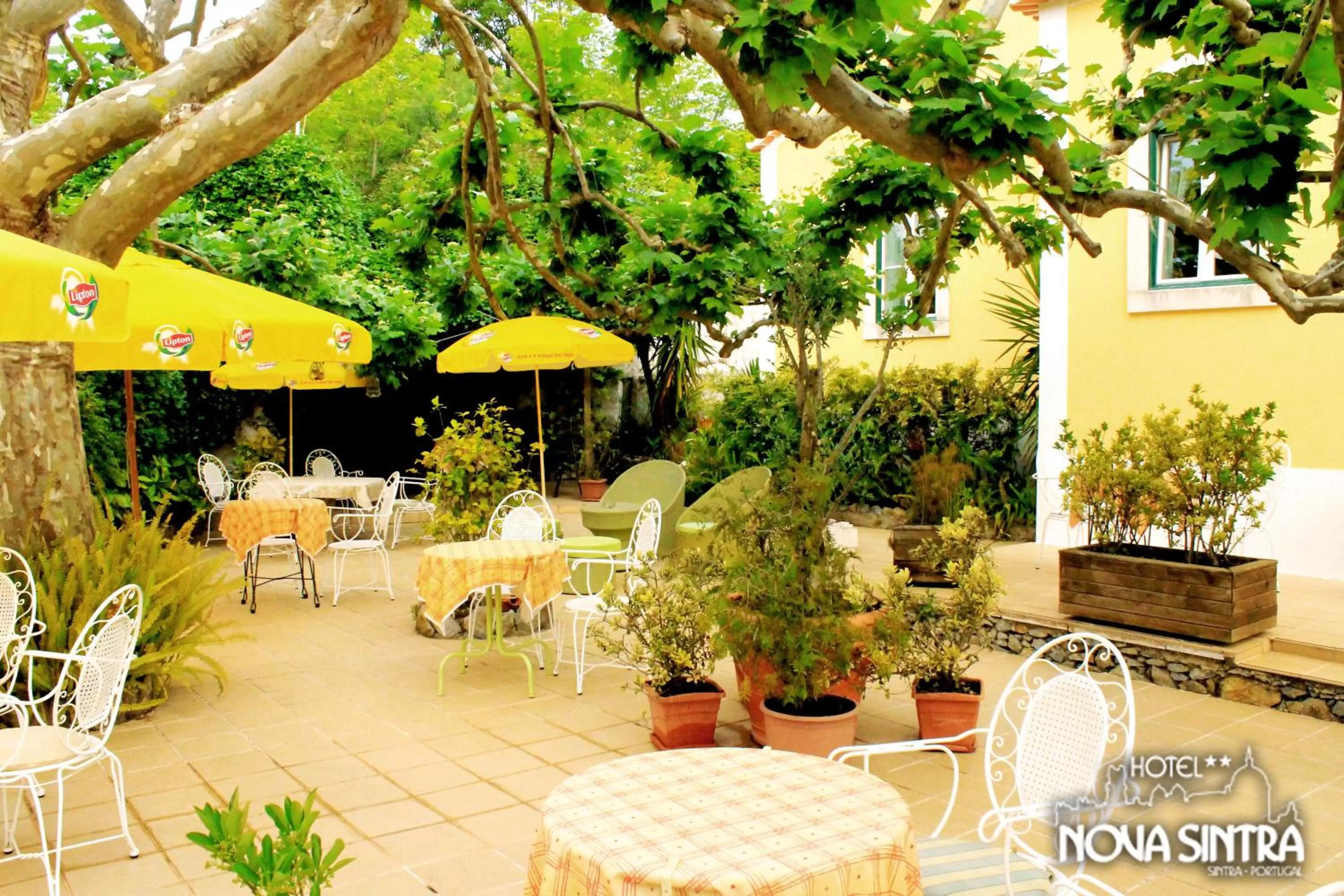 Restaurant/places to eat in Hotel Nova Sintra - Adults only