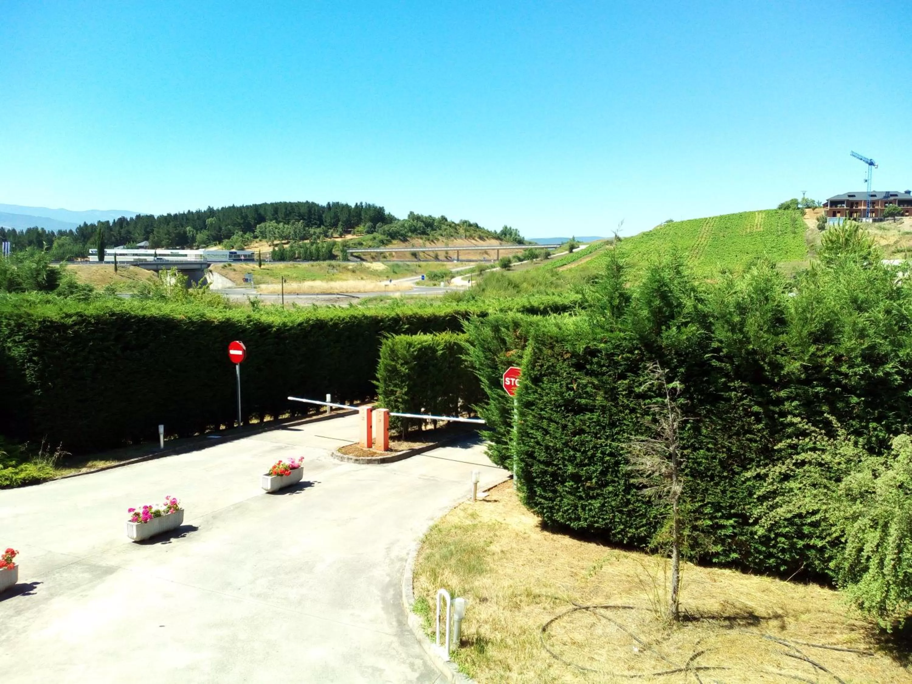 Off site in Motel Acropolis