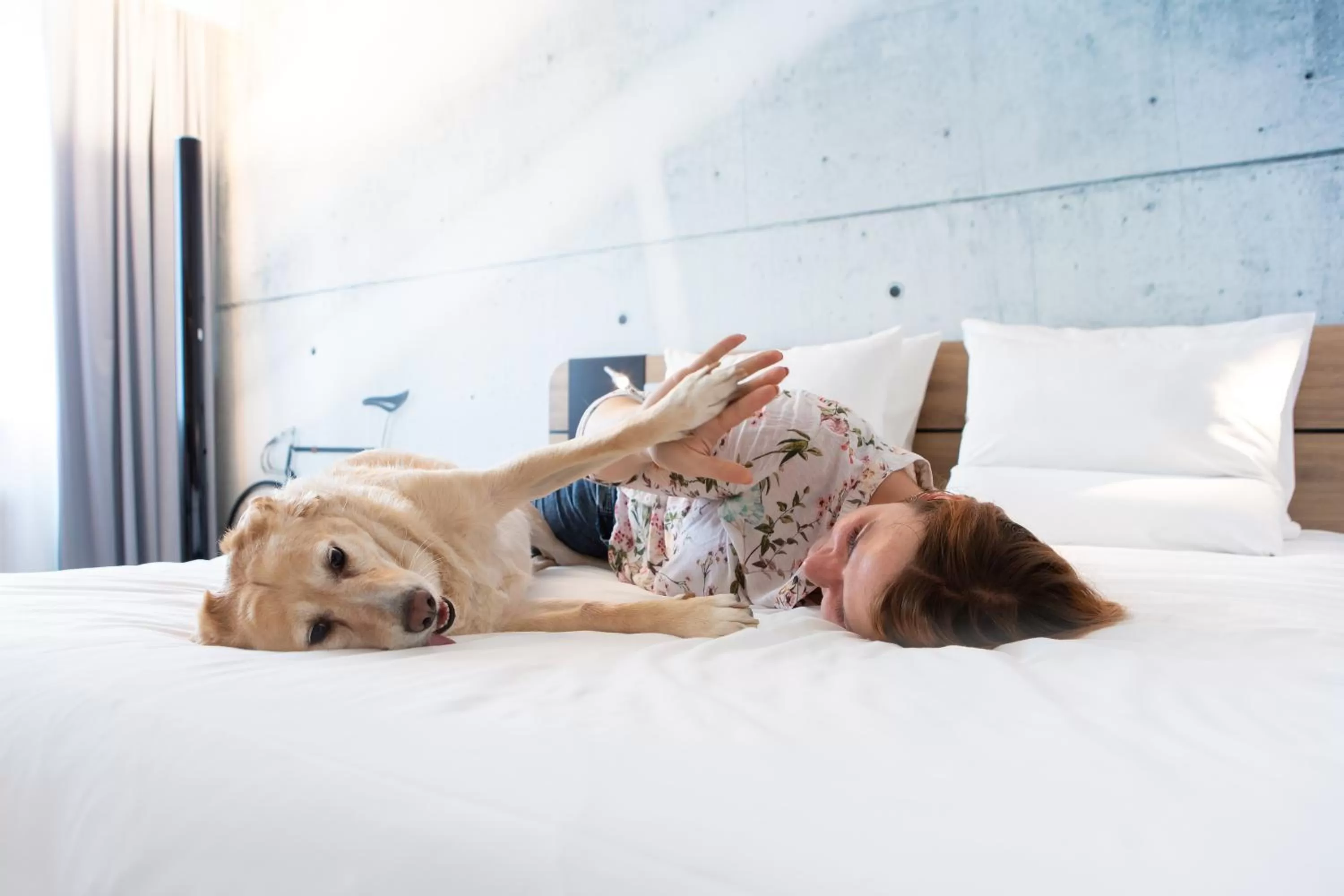 Pets, Bed in Novotel Wrocław City