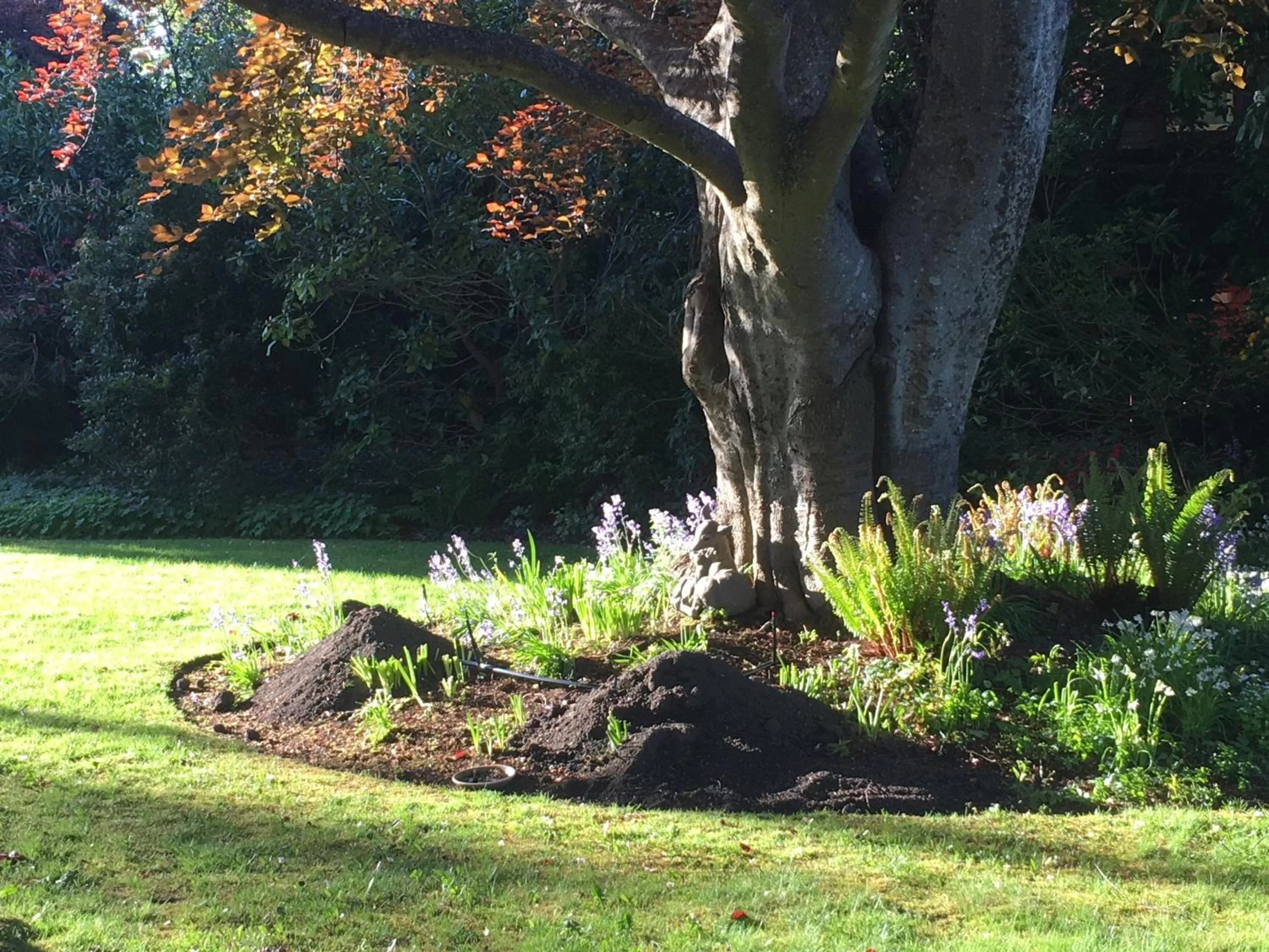 Garden in Prior Castle Inn