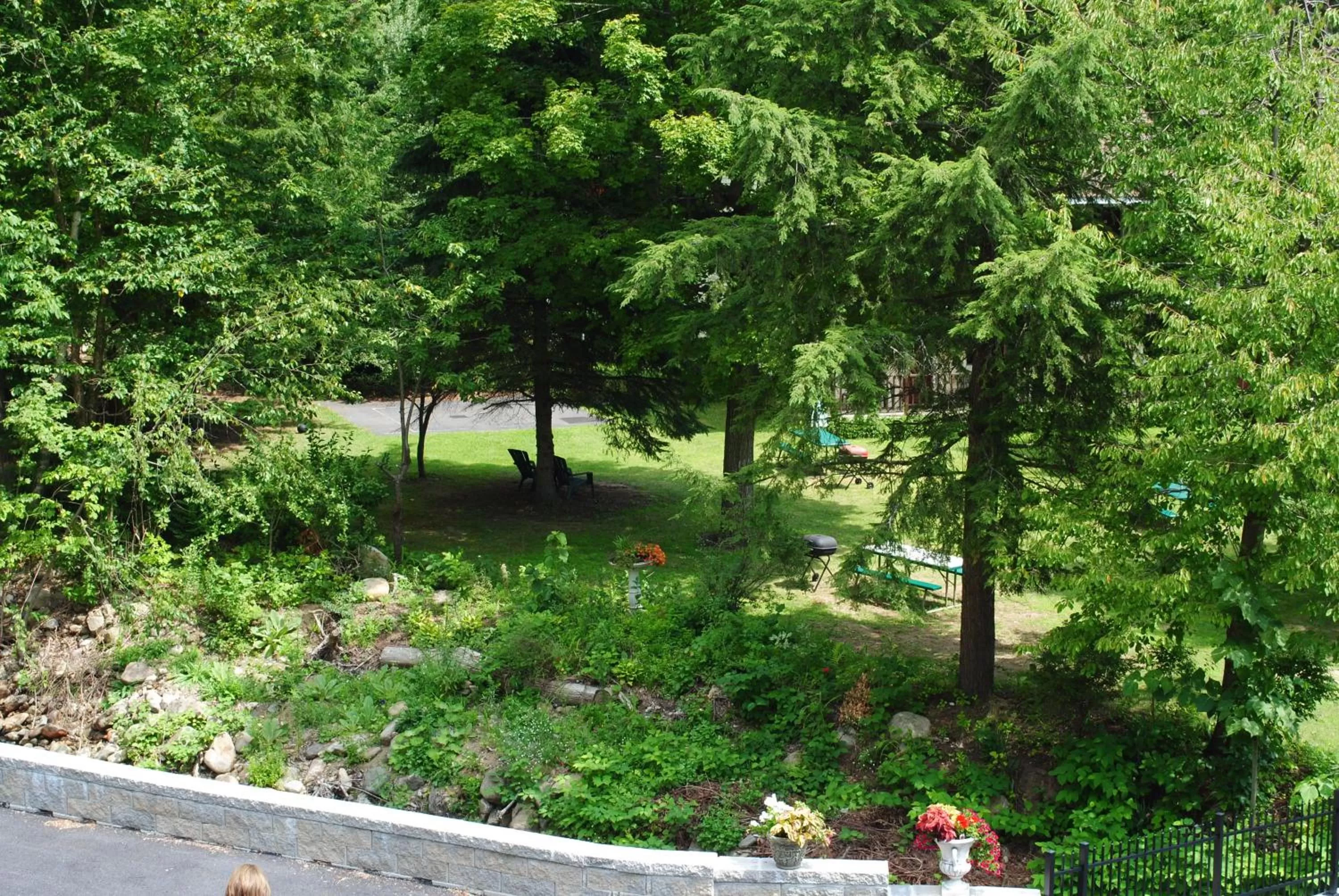 Day in Fran Cove Motel